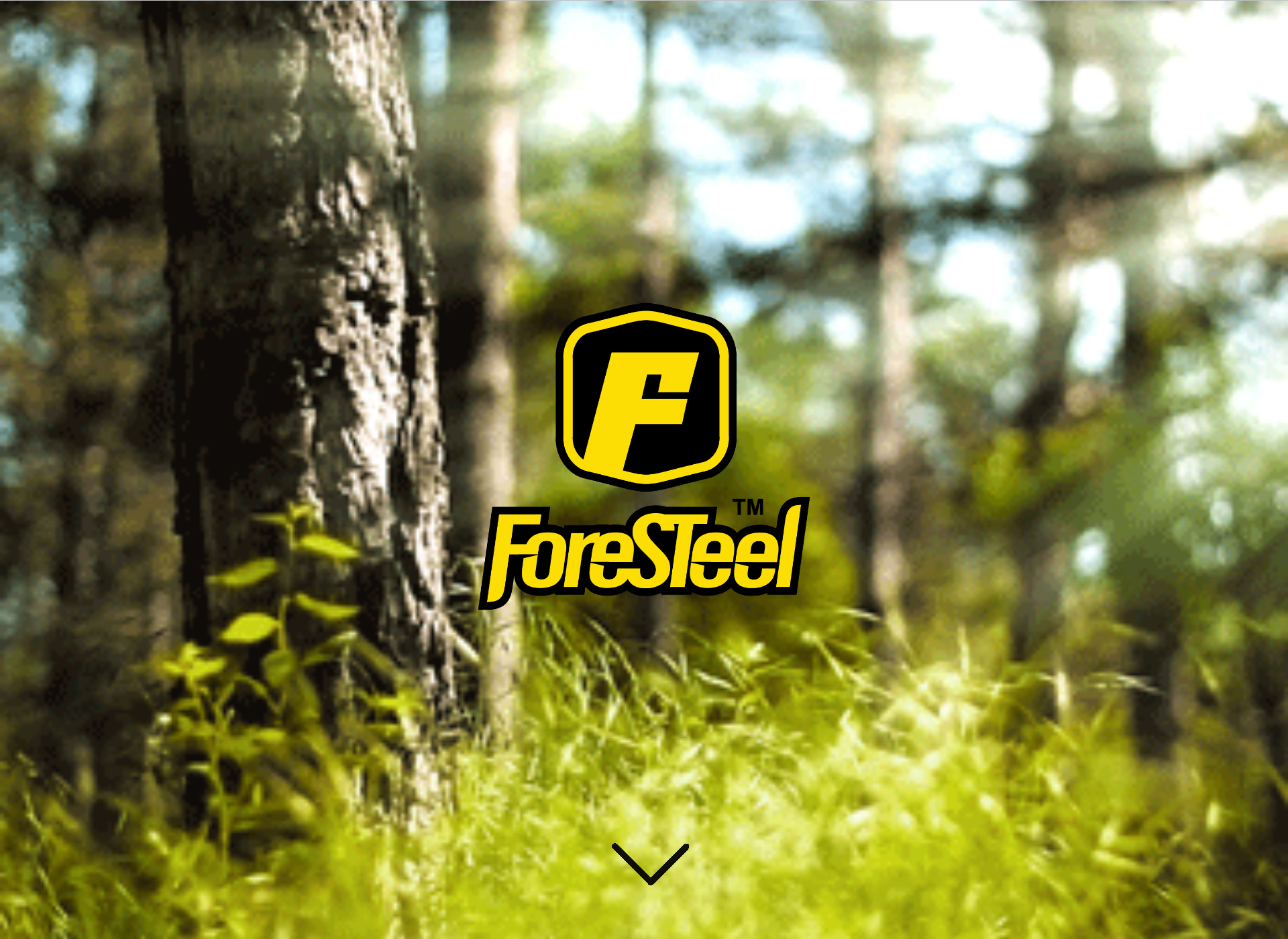 Screenshot for foresteel.fi