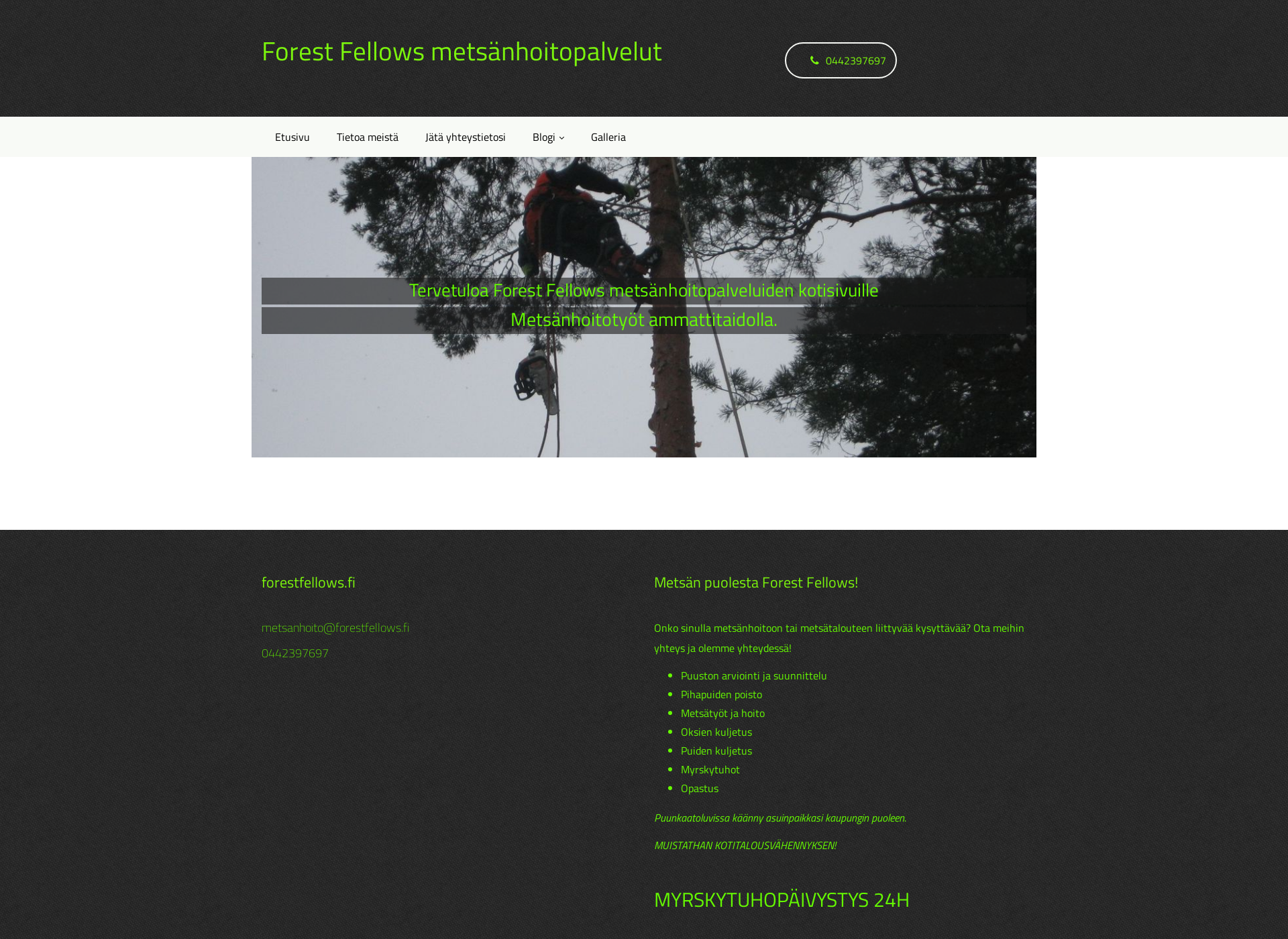 Screenshot for forestfellows.fi