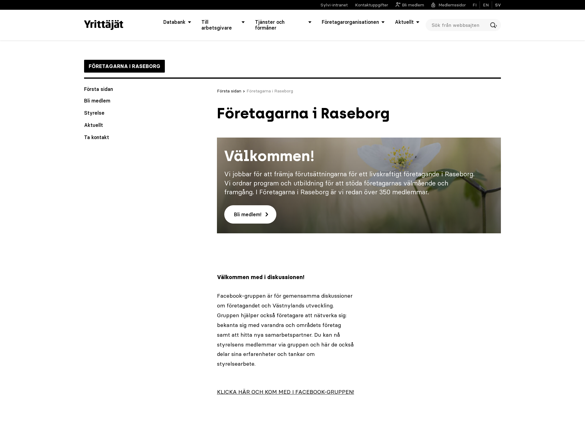 Skärmdump för foretagarnairaseborg.fi
