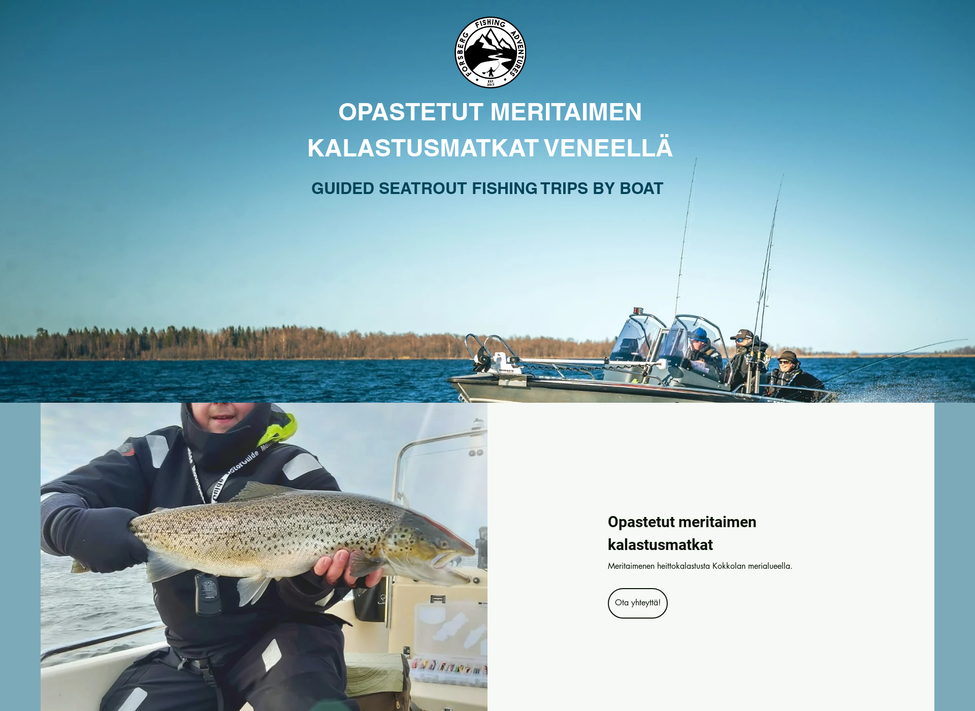 Screenshot for forsbergfishing.fi