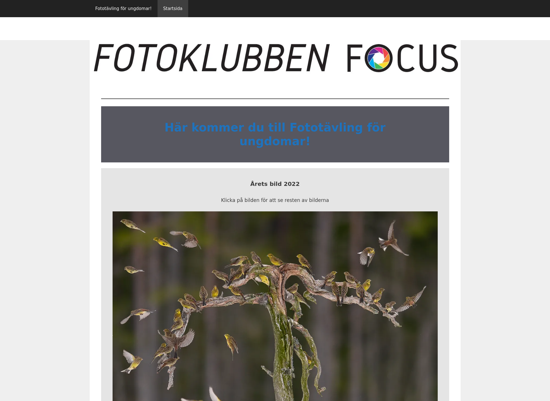 Screenshot for fotoklubbenfocus.fi