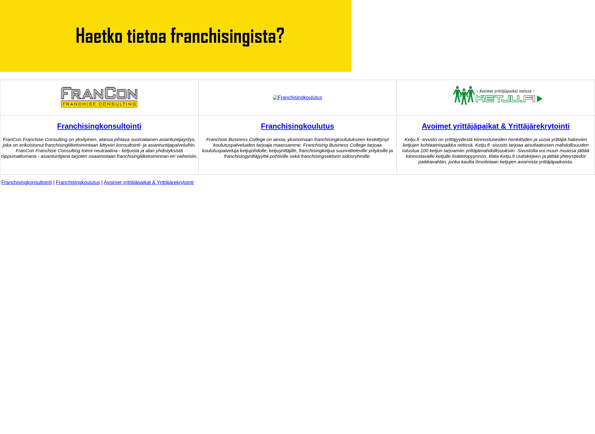 Screenshot for franchisingkonsultointi.fi