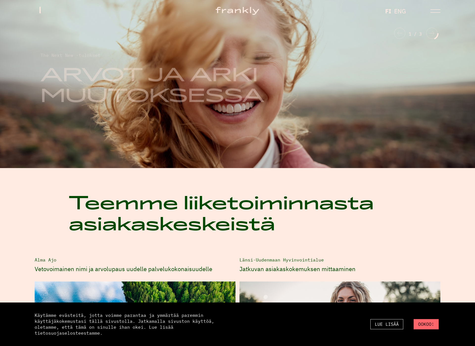Skärmdump för franklypartners.fi