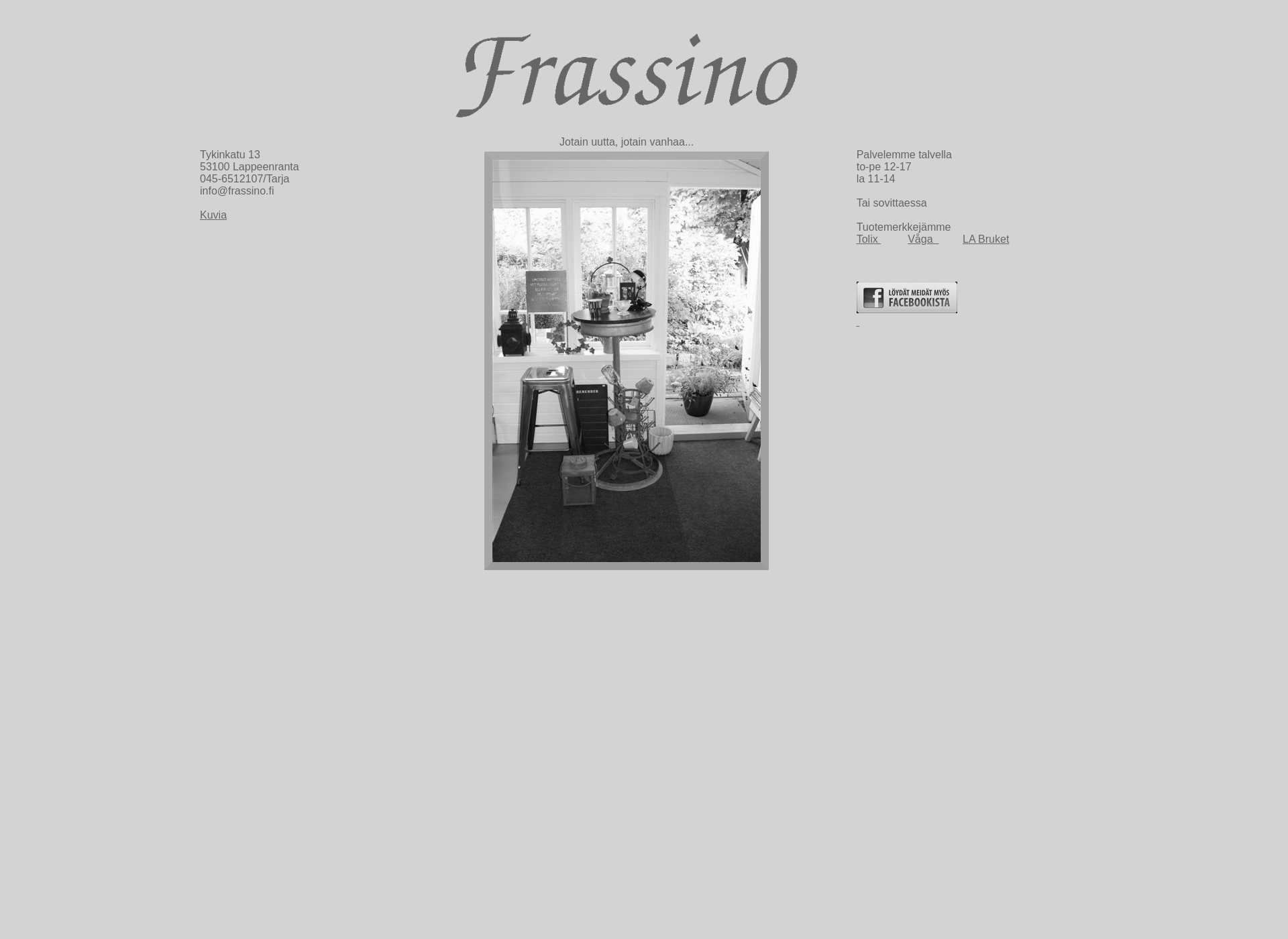 Skärmdump för frassino.fi