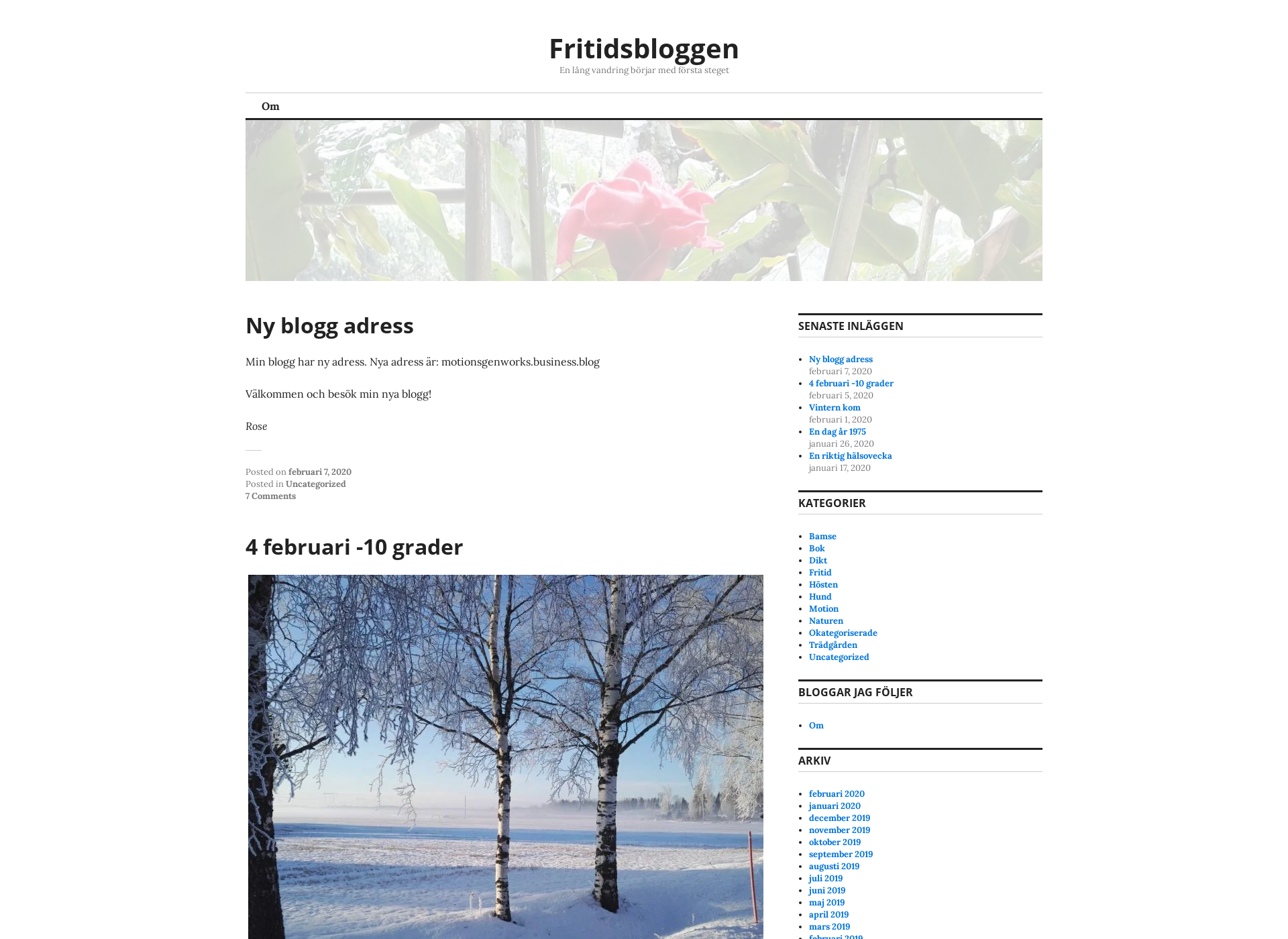 Skärmdump för fritidsbloggen.fi