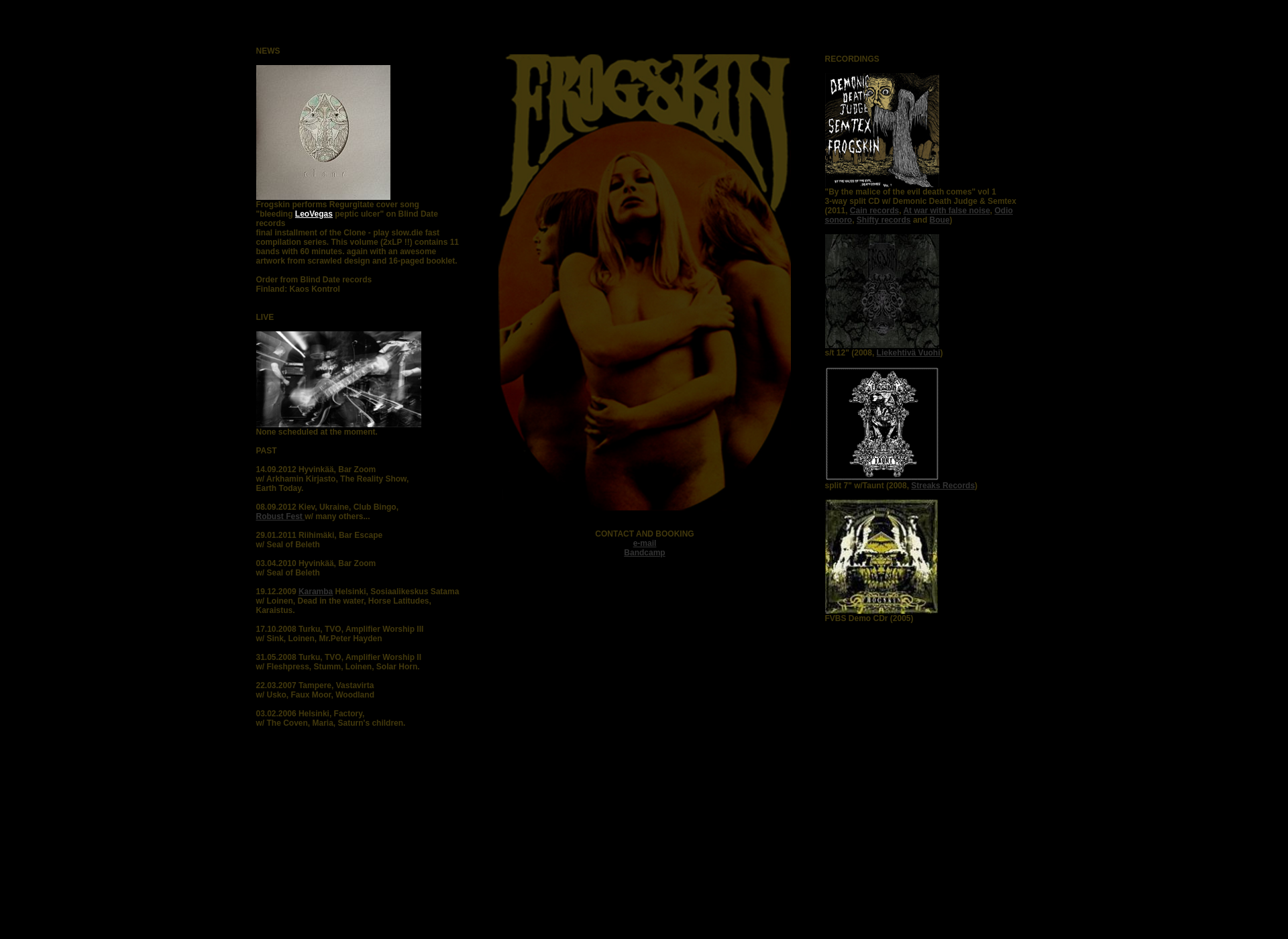 Screenshot for frogskin.fi