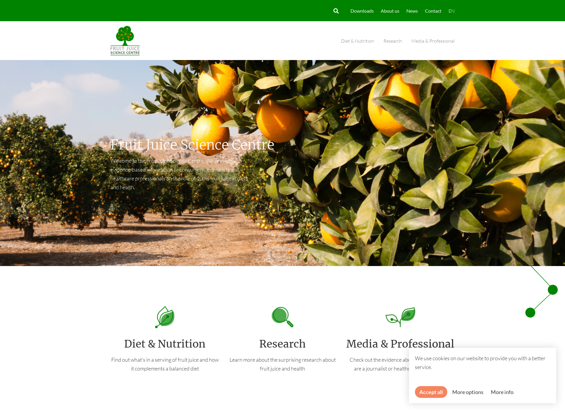 Screenshot for fruitjuicematters.fi