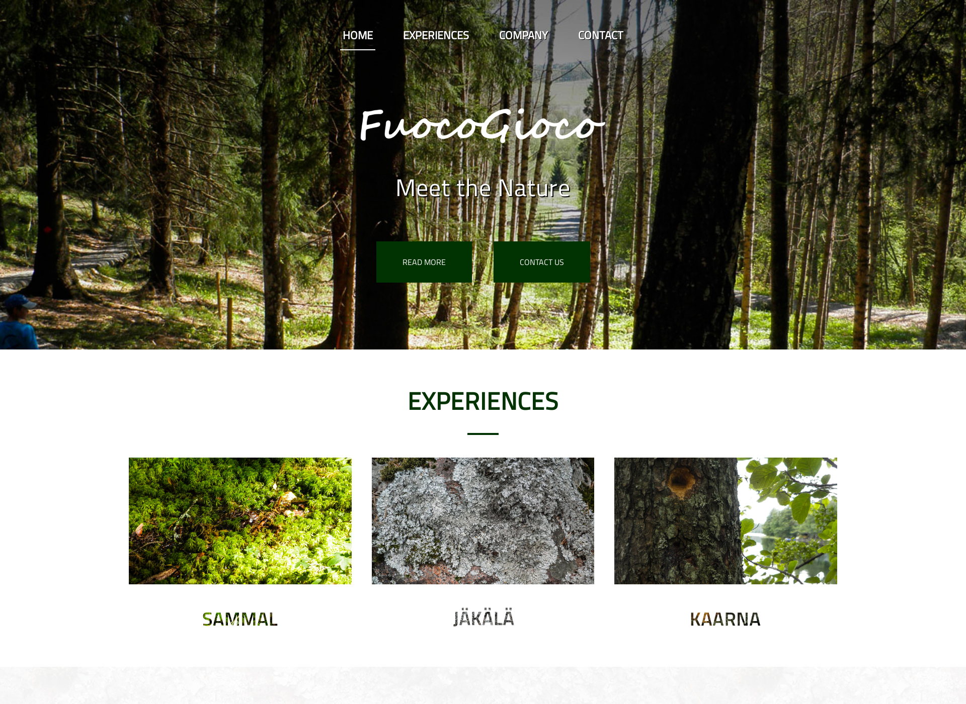Screenshot for fuocogioco.fi