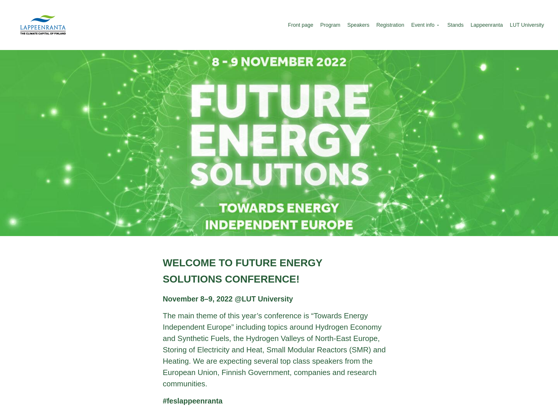 Skärmdump för futureenergysolutions.fi