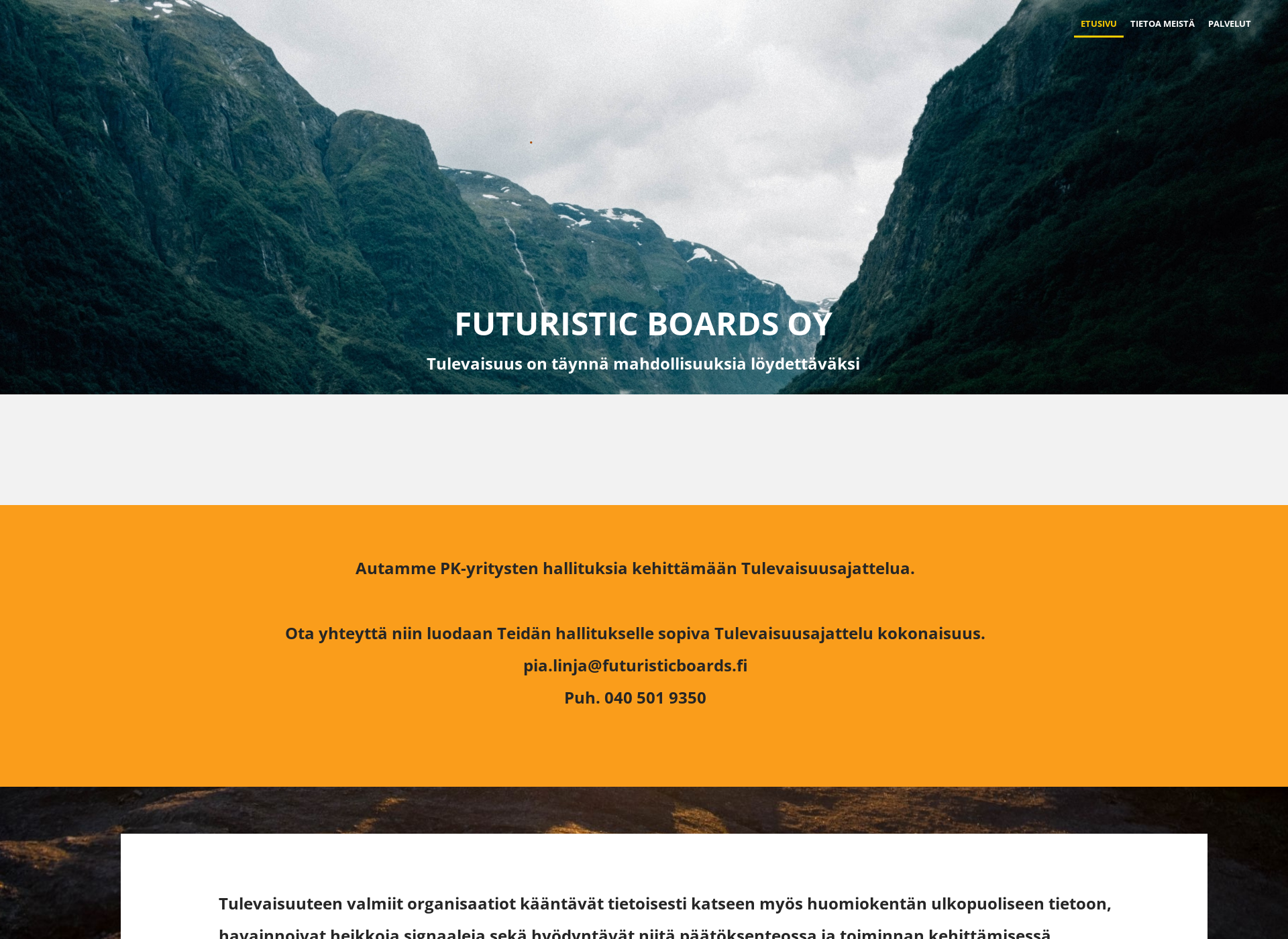 Screenshot for futuristicboards.fi