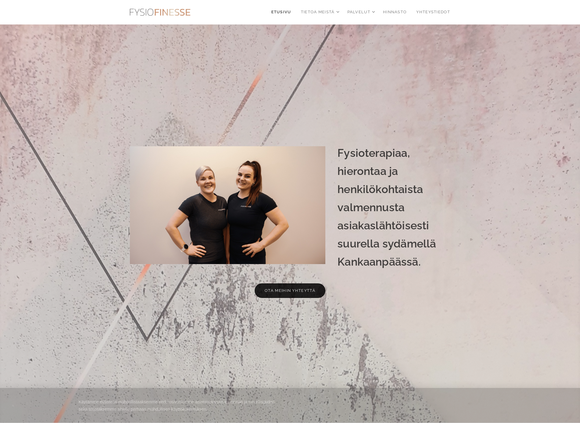 Screenshot for fysiofinesse.fi