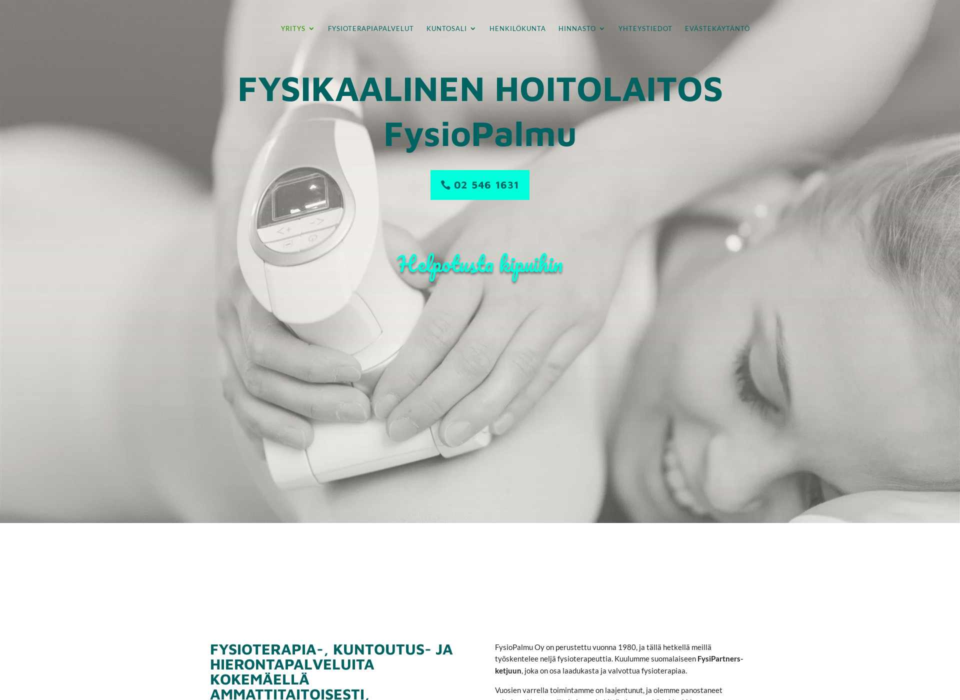 Screenshot for fysiopalmu.fi