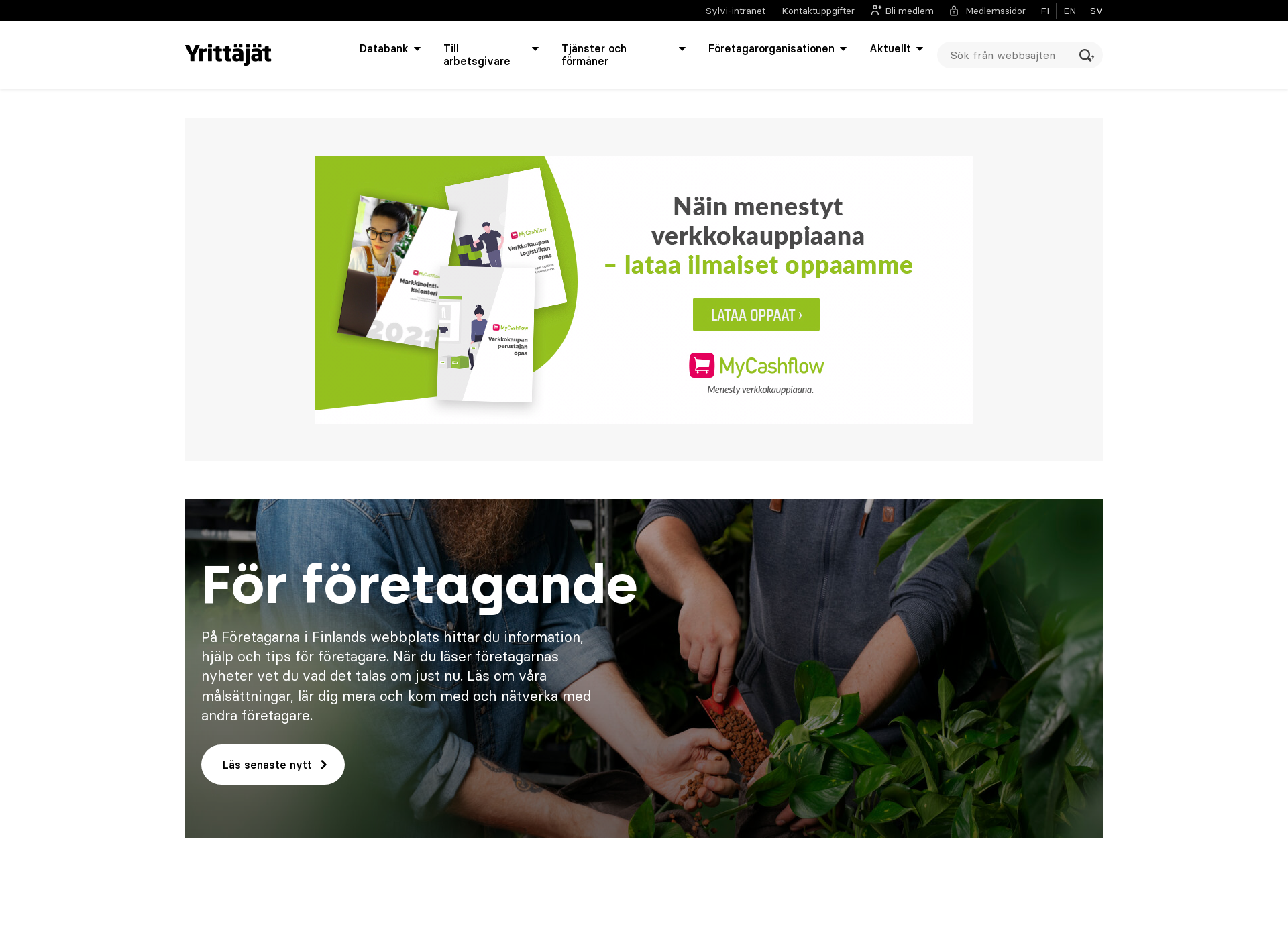 Skärmdump för företagare.fi