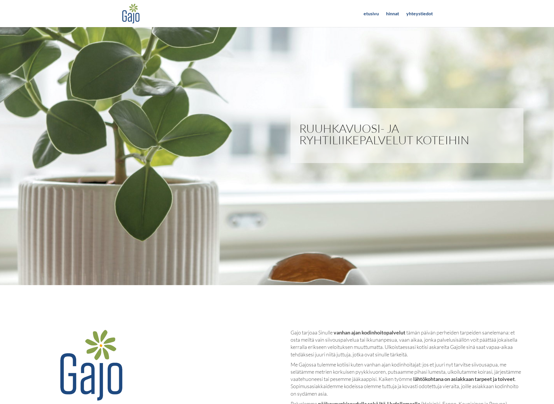 Skärmdump för gajo.fi