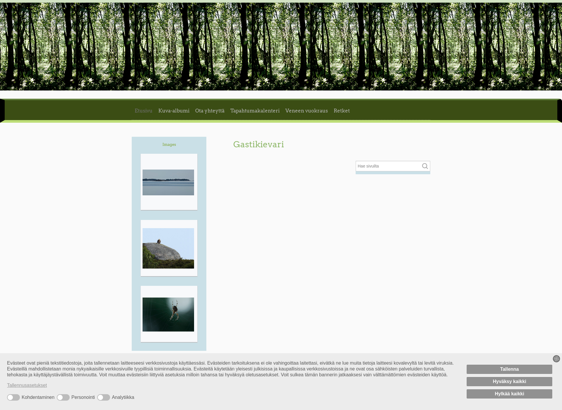 Screenshot for gastikievari.fi
