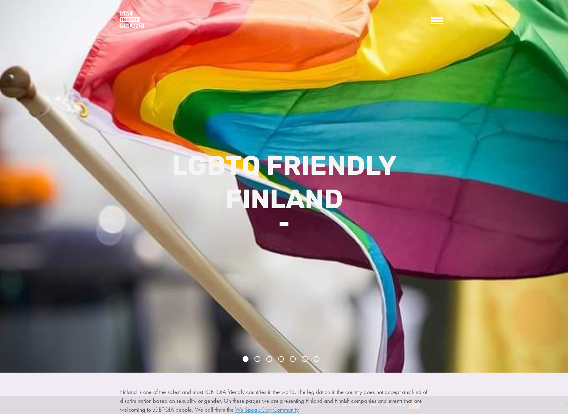 Skärmdump för gaytravelfinland.com