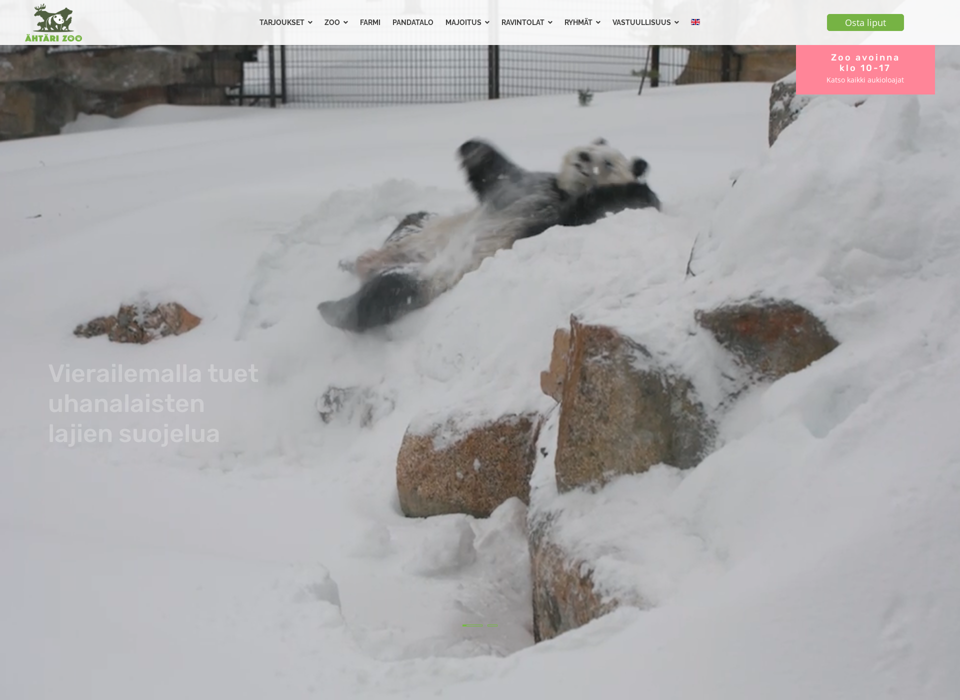 Screenshot for giantpanda.fi