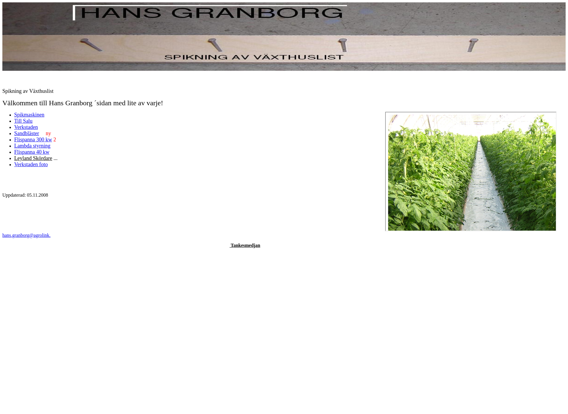 Screenshot for granborg.fi