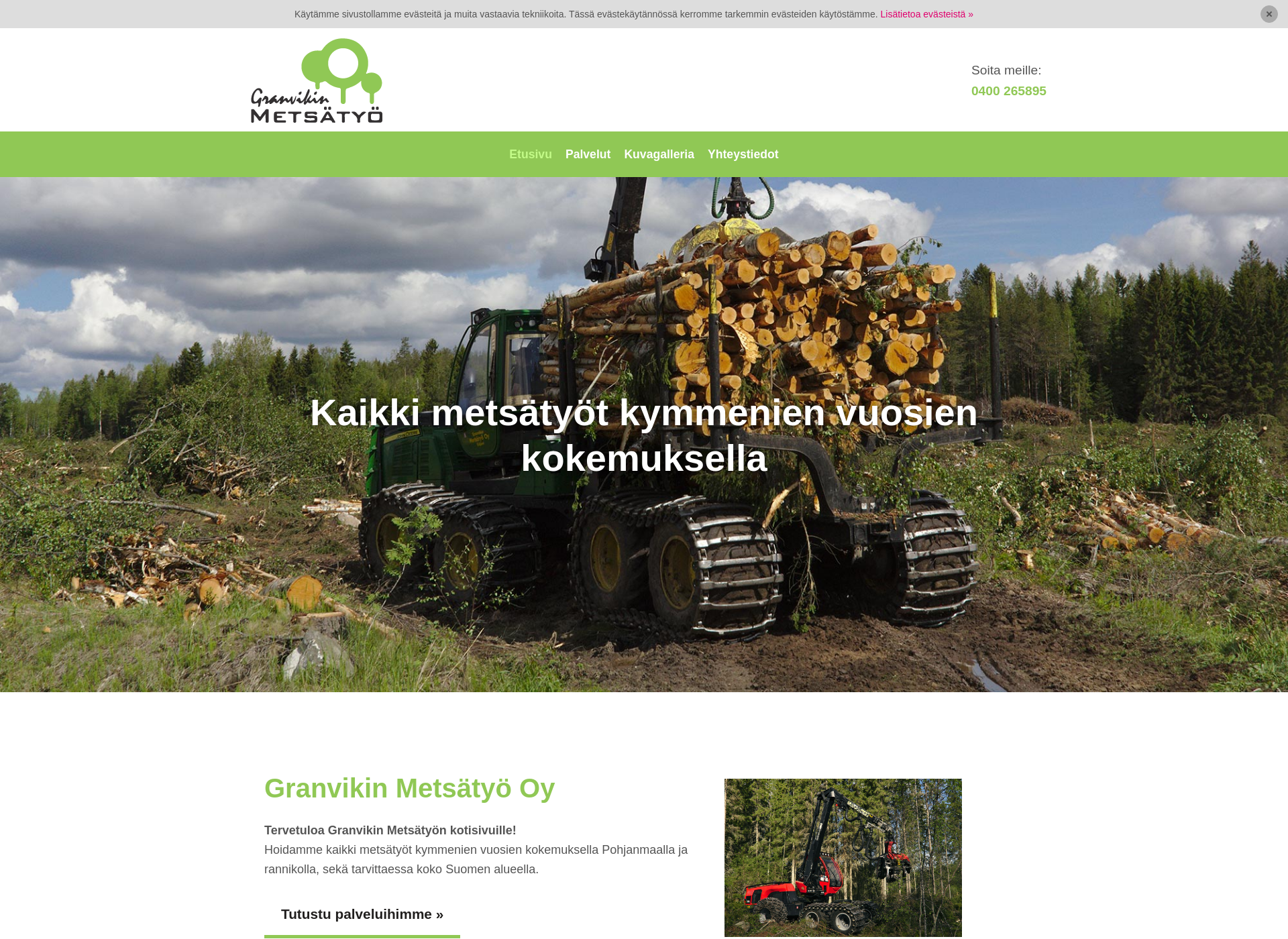 Skärmdump för granvikinmetsatyot.fi