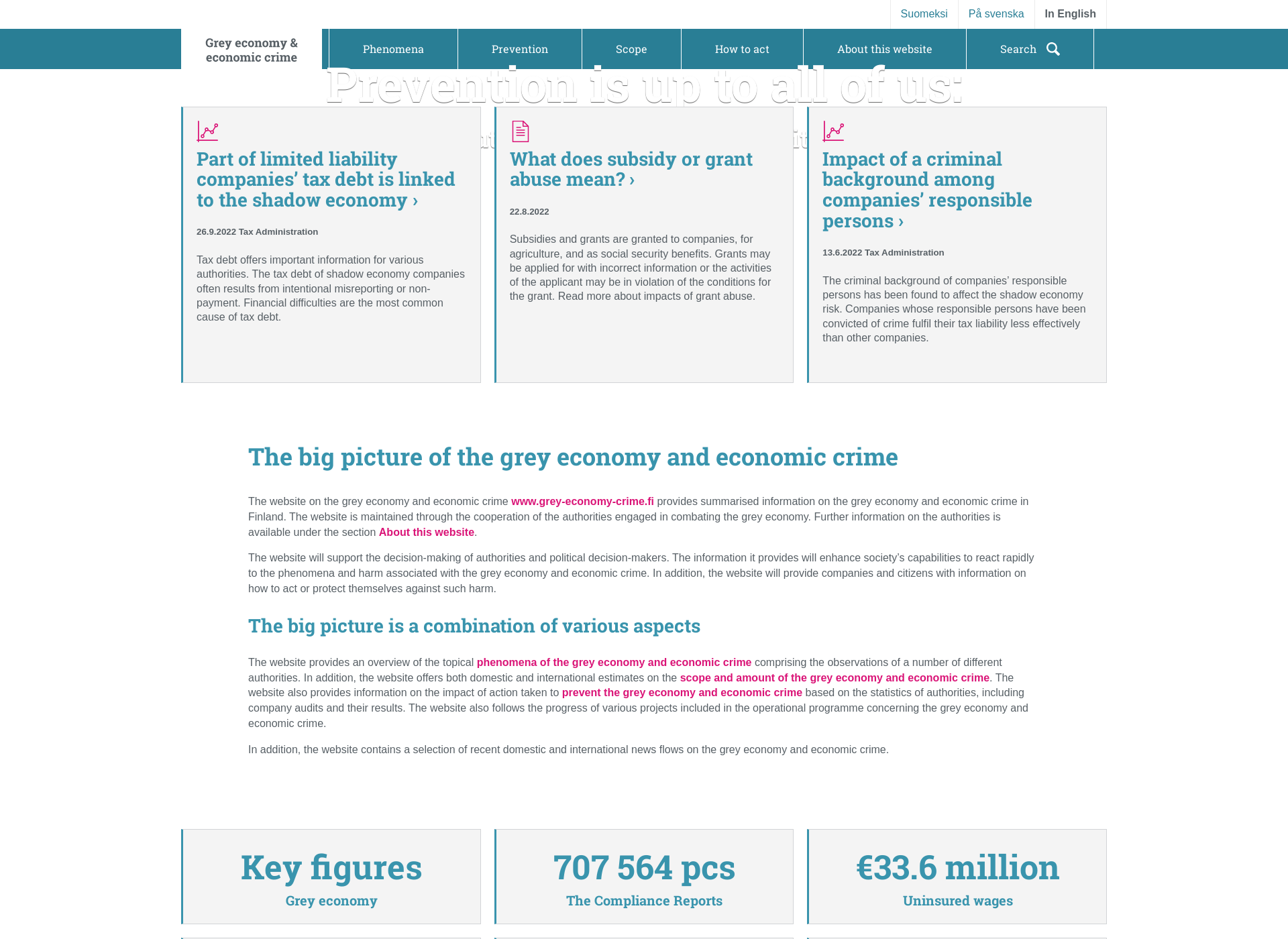 Screenshot for grey-economy-crime.fi