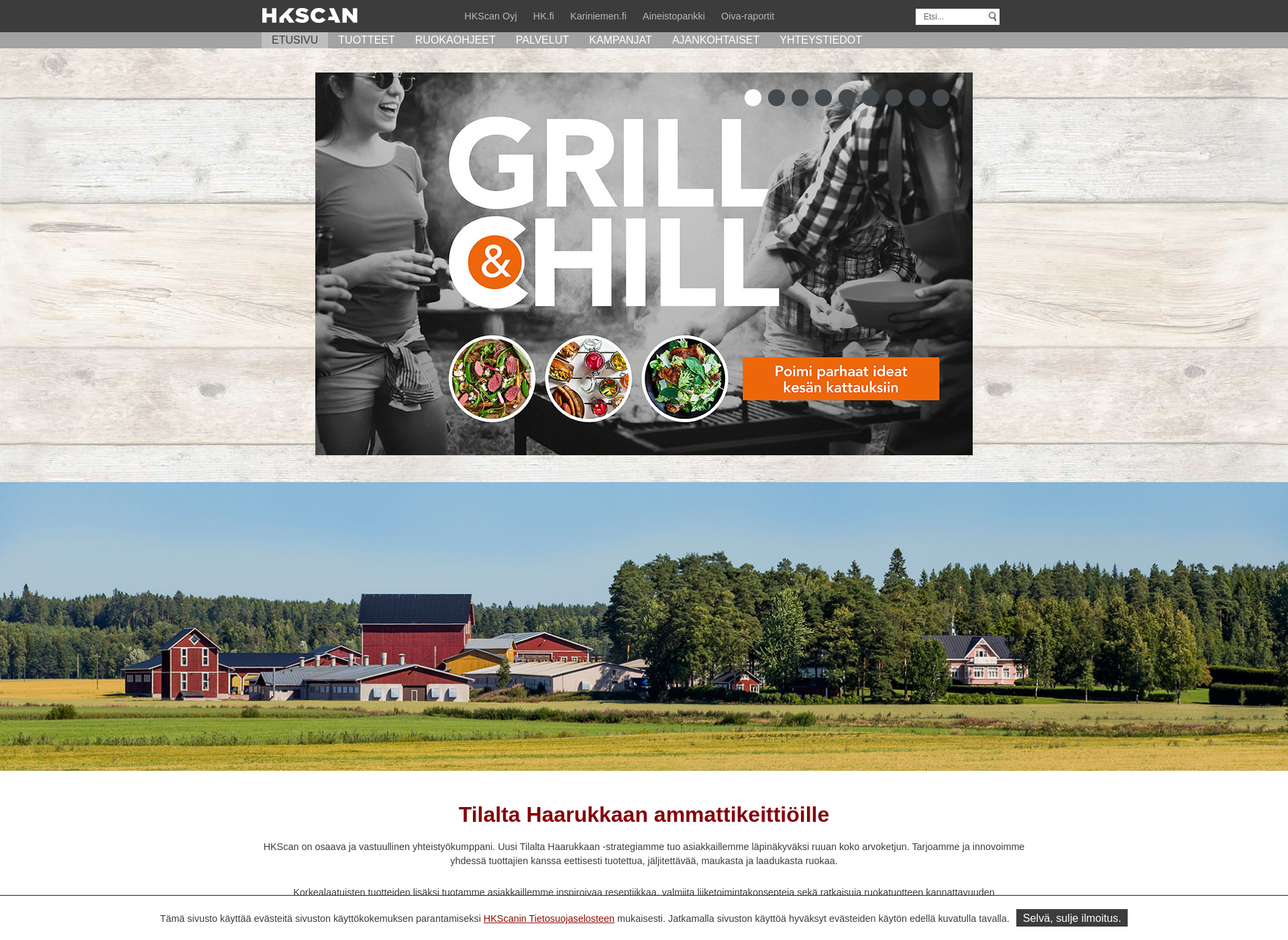 Skärmdump för grillistara.fi
