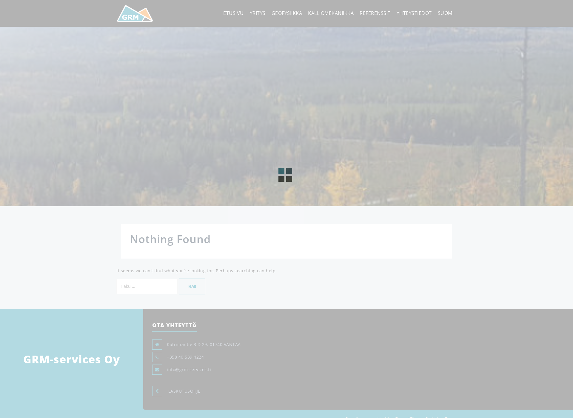 Screenshot for grm-services.fi