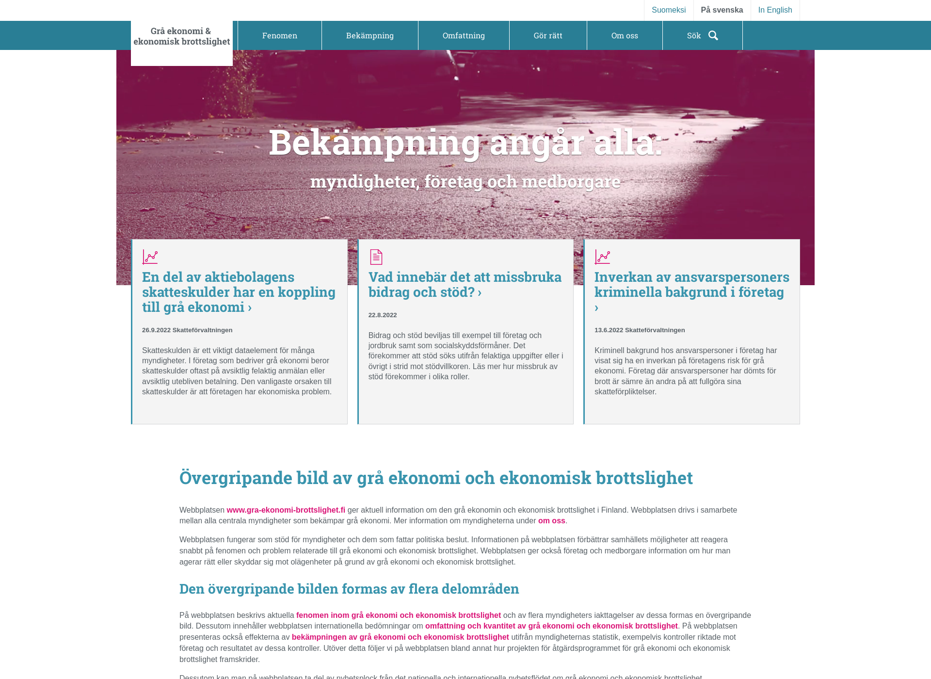 Screenshot for grå-ekonomi-brottslighet.fi