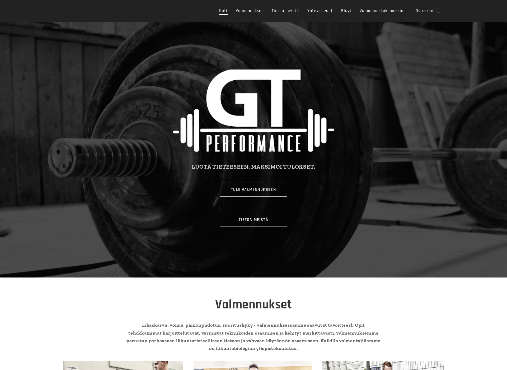 Screenshot for gtperformance.fi