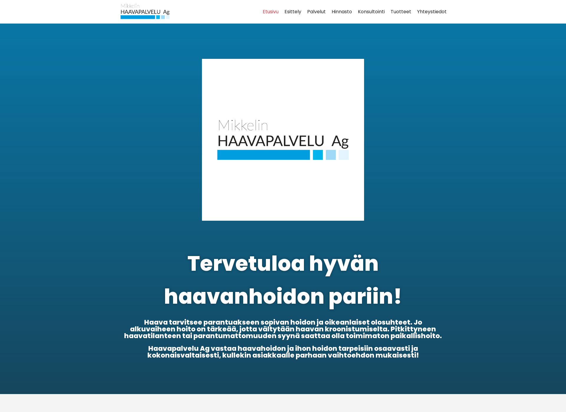 Skärmdump för haavapalvelu.fi