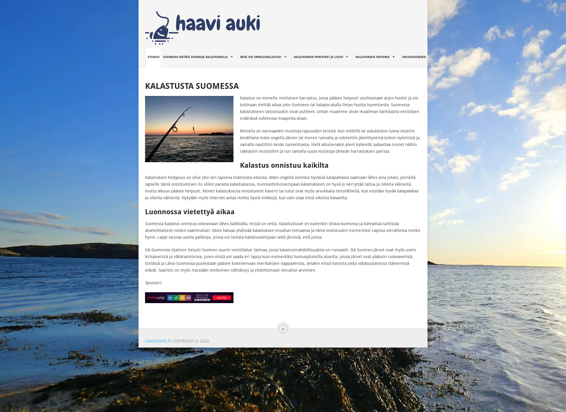 Skärmdump för haaviauki.fi