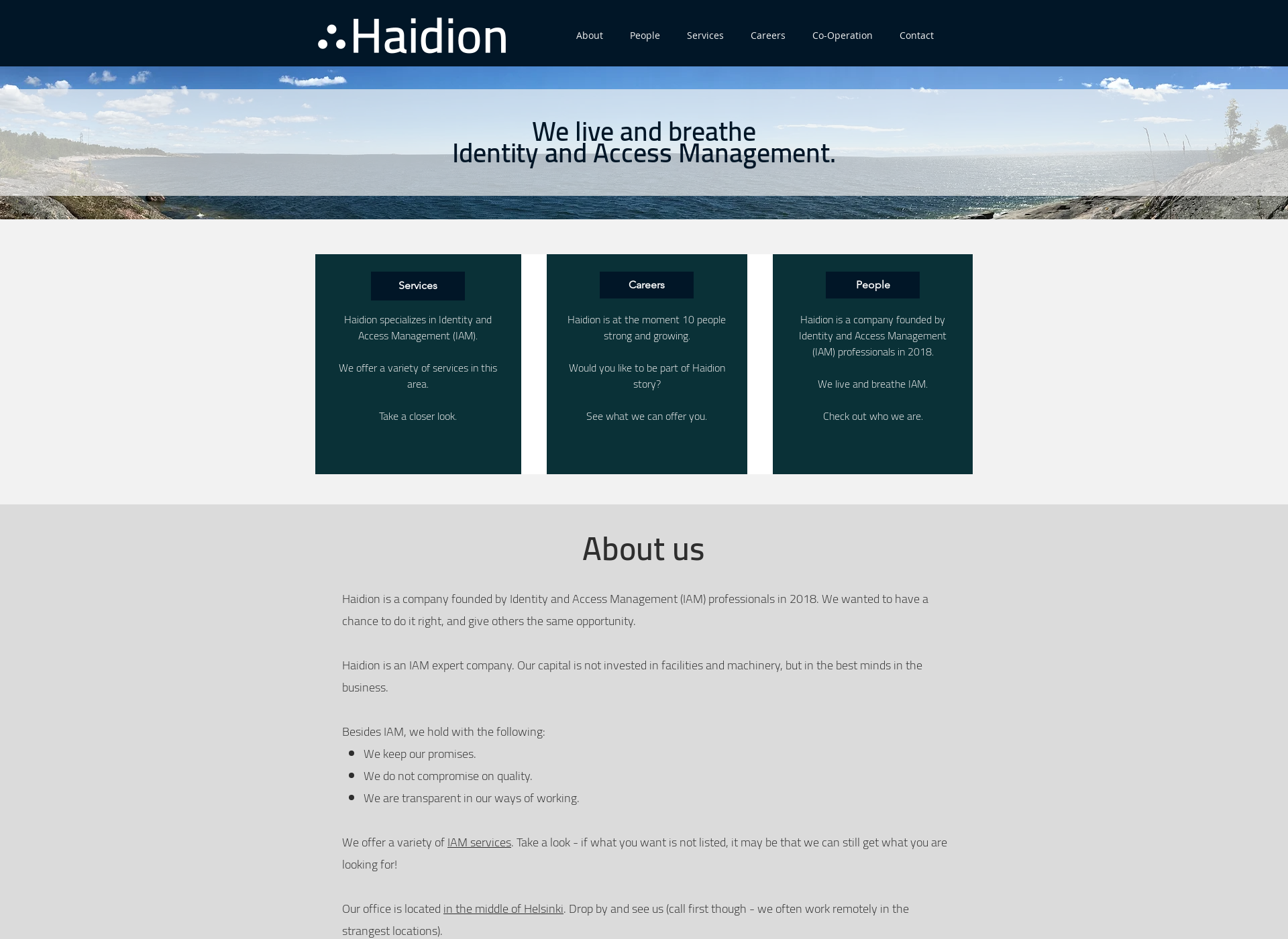 Skärmdump för haidion.com