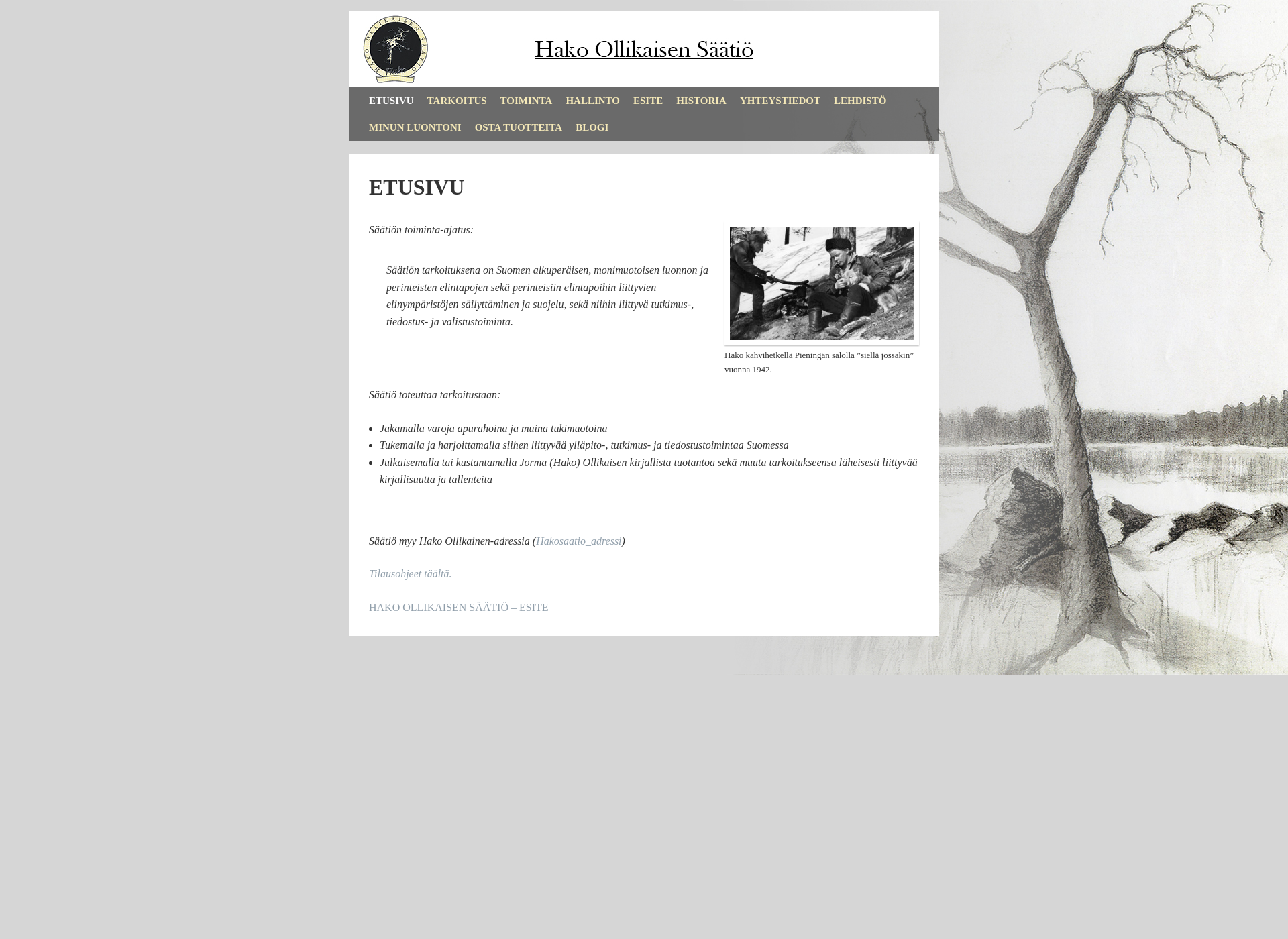 Screenshot for hakosaatio.fi