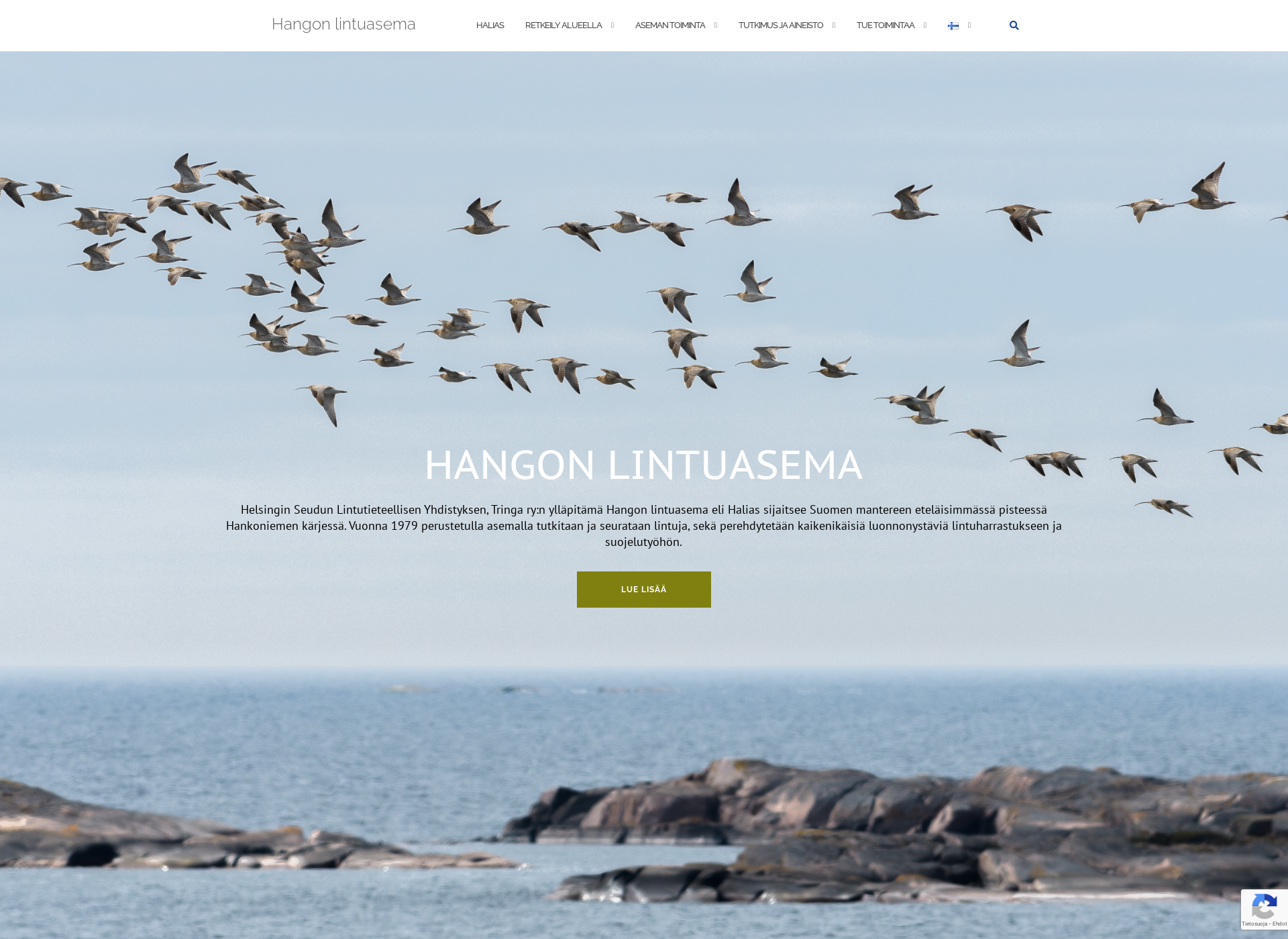 Skärmdump för halias.fi