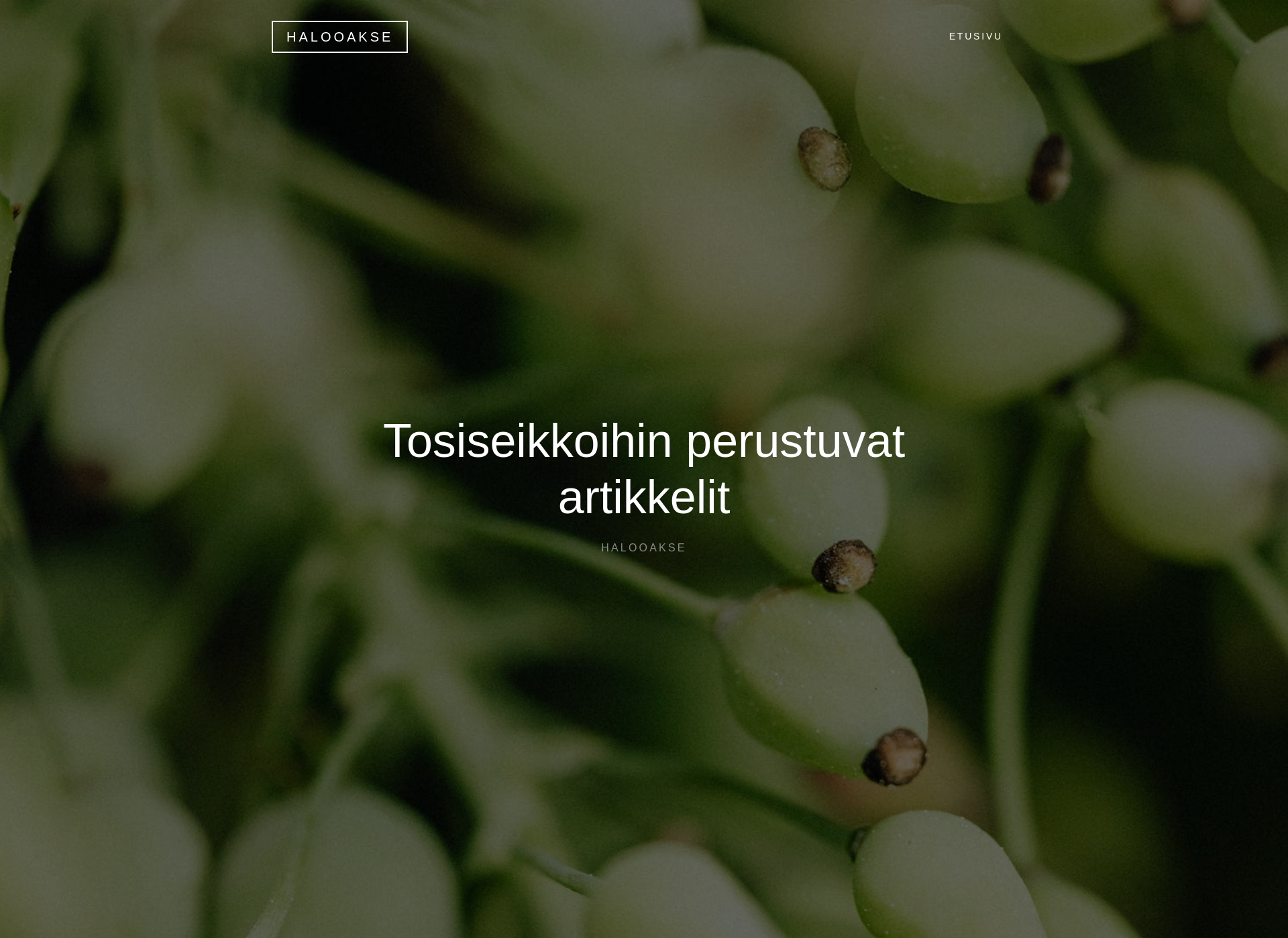 Screenshot for halooakseli.fi