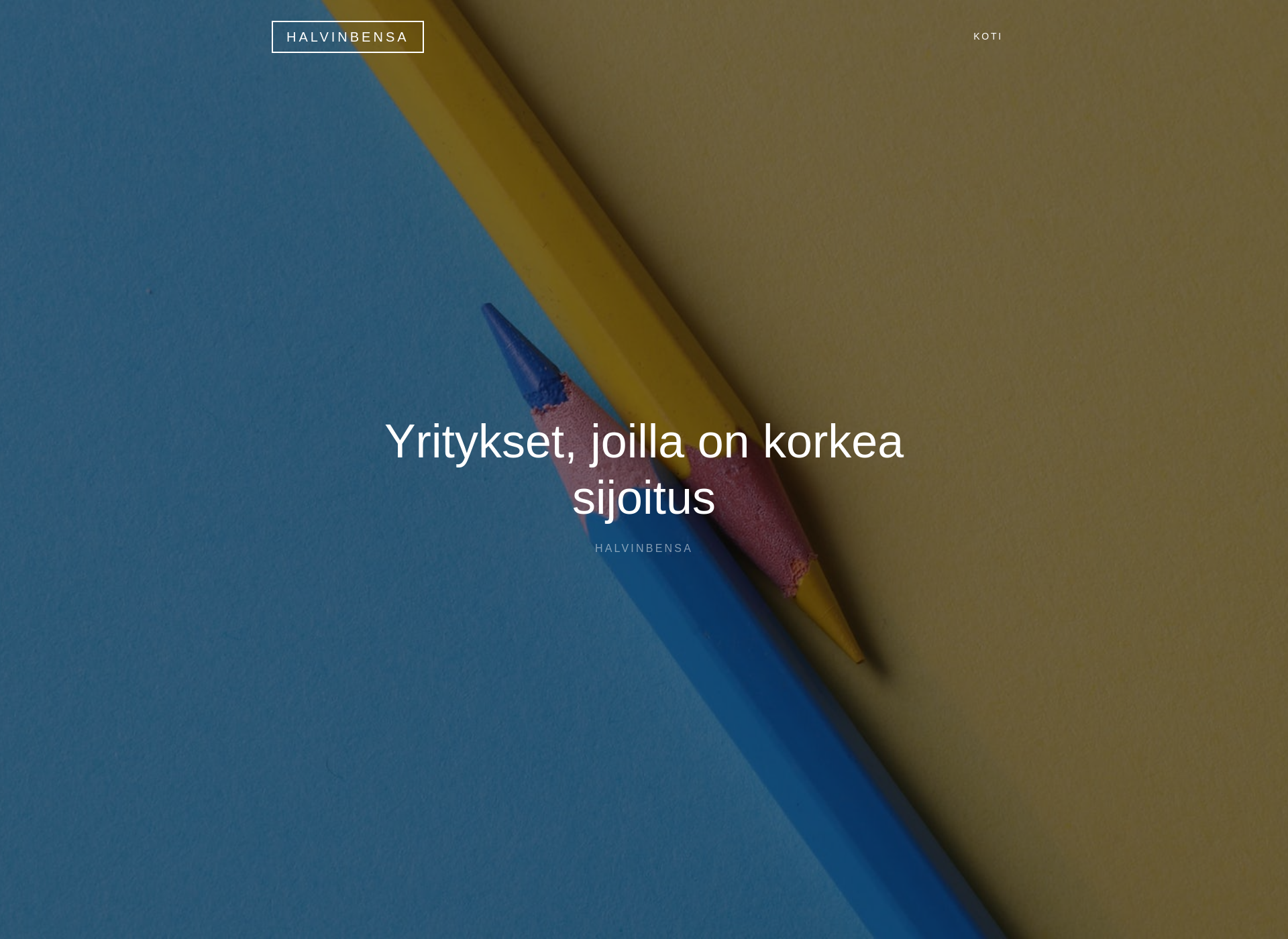 Screenshot for halvinbensa.fi
