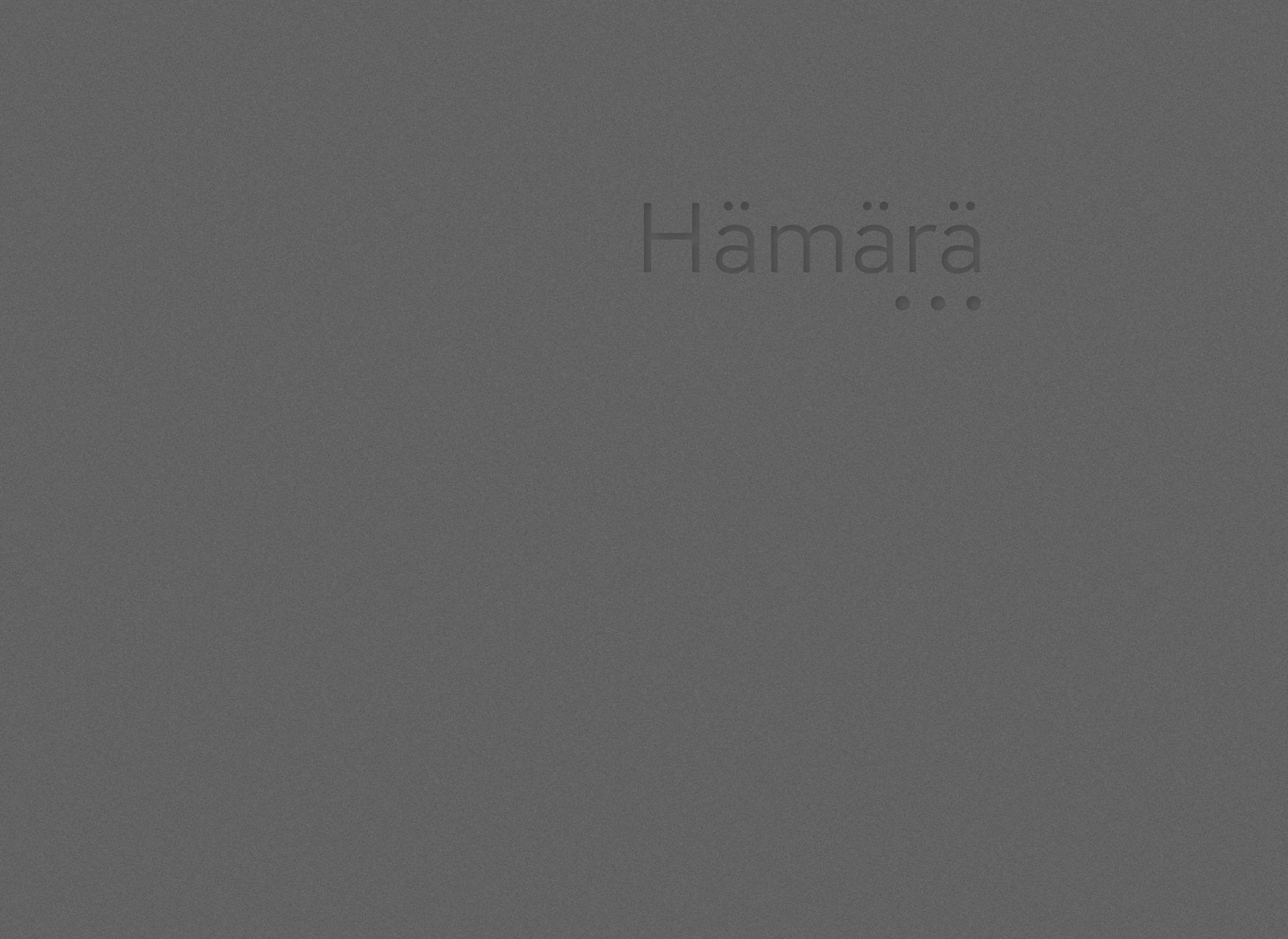 Screenshot for hamaramedia.fi