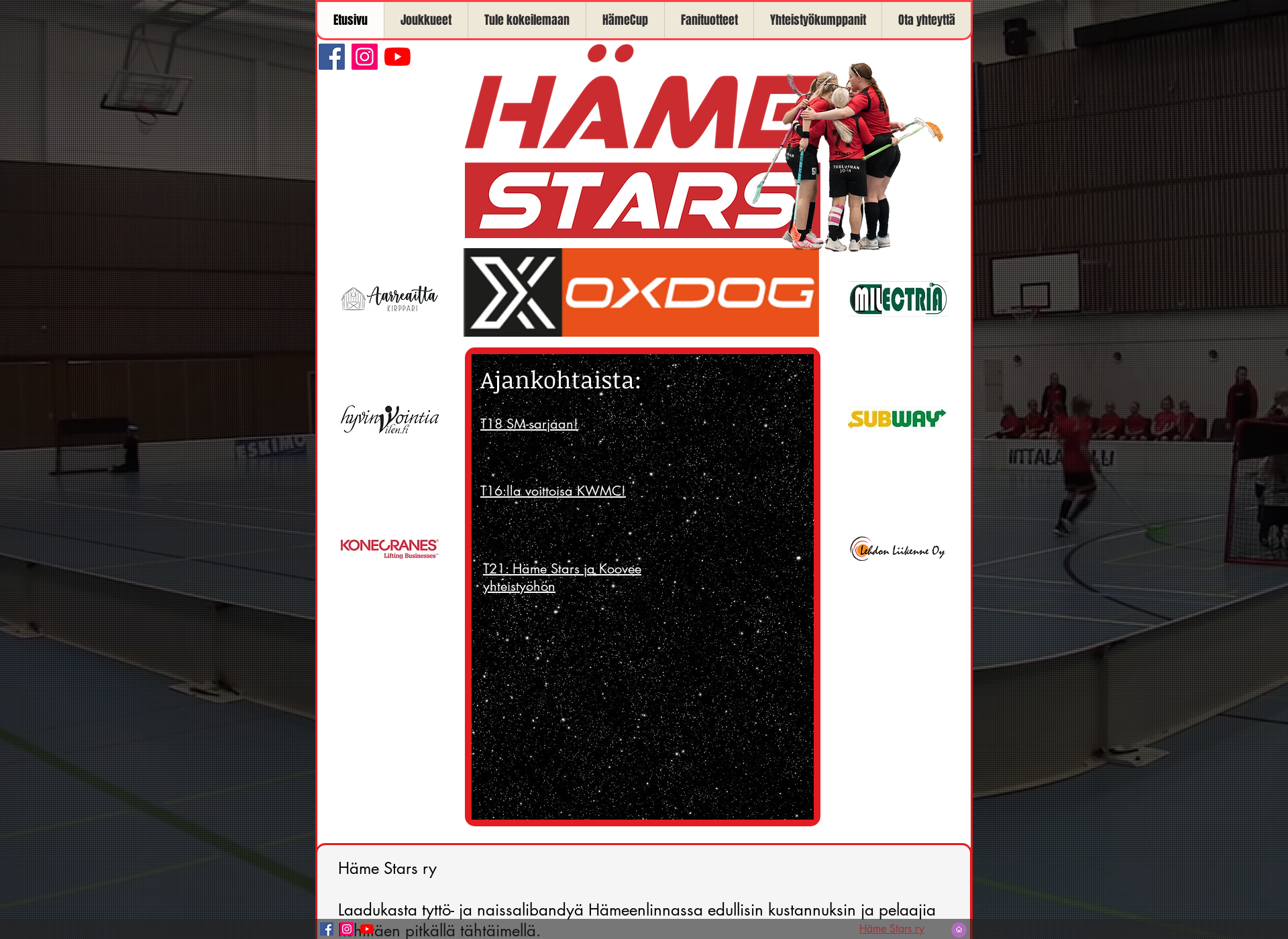 Screenshot for hamestars.fi