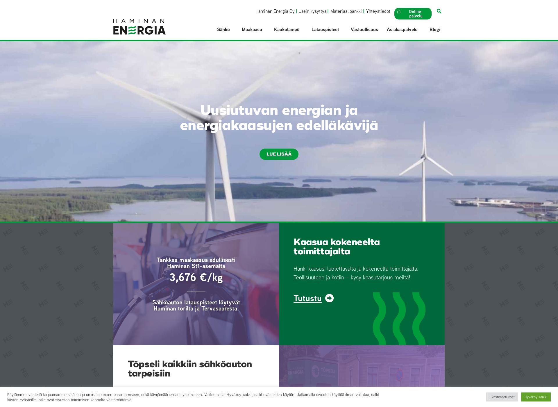 Skärmdump för haminanenergia.fi