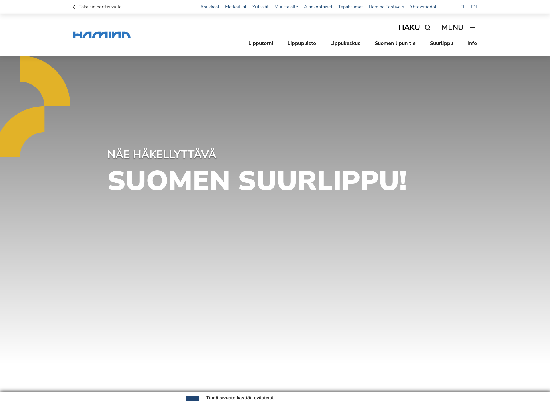 Skärmdump för haminanlippumaailma.fi