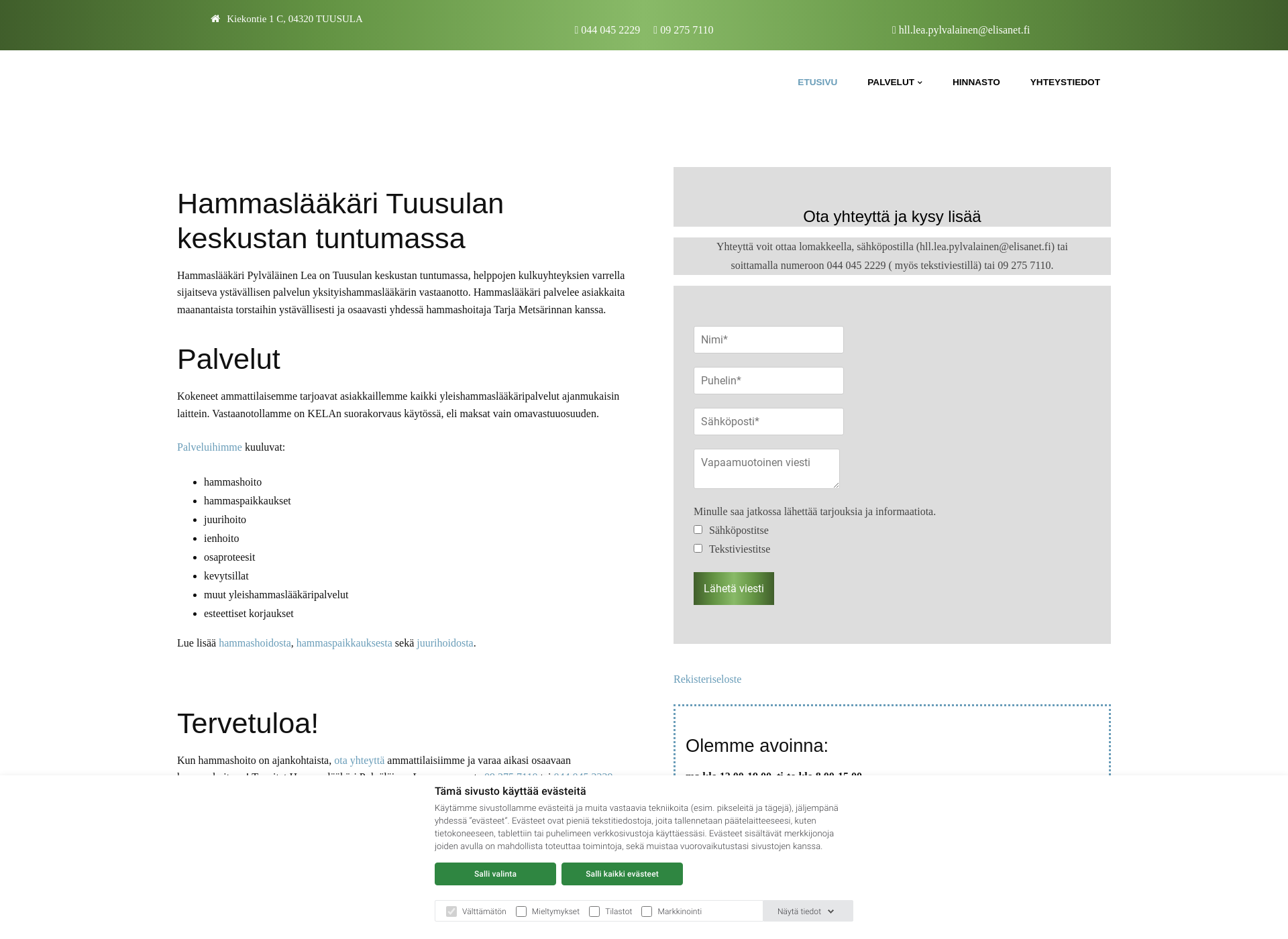 Screenshot for hammaslaakaripylvalainenlea.fi