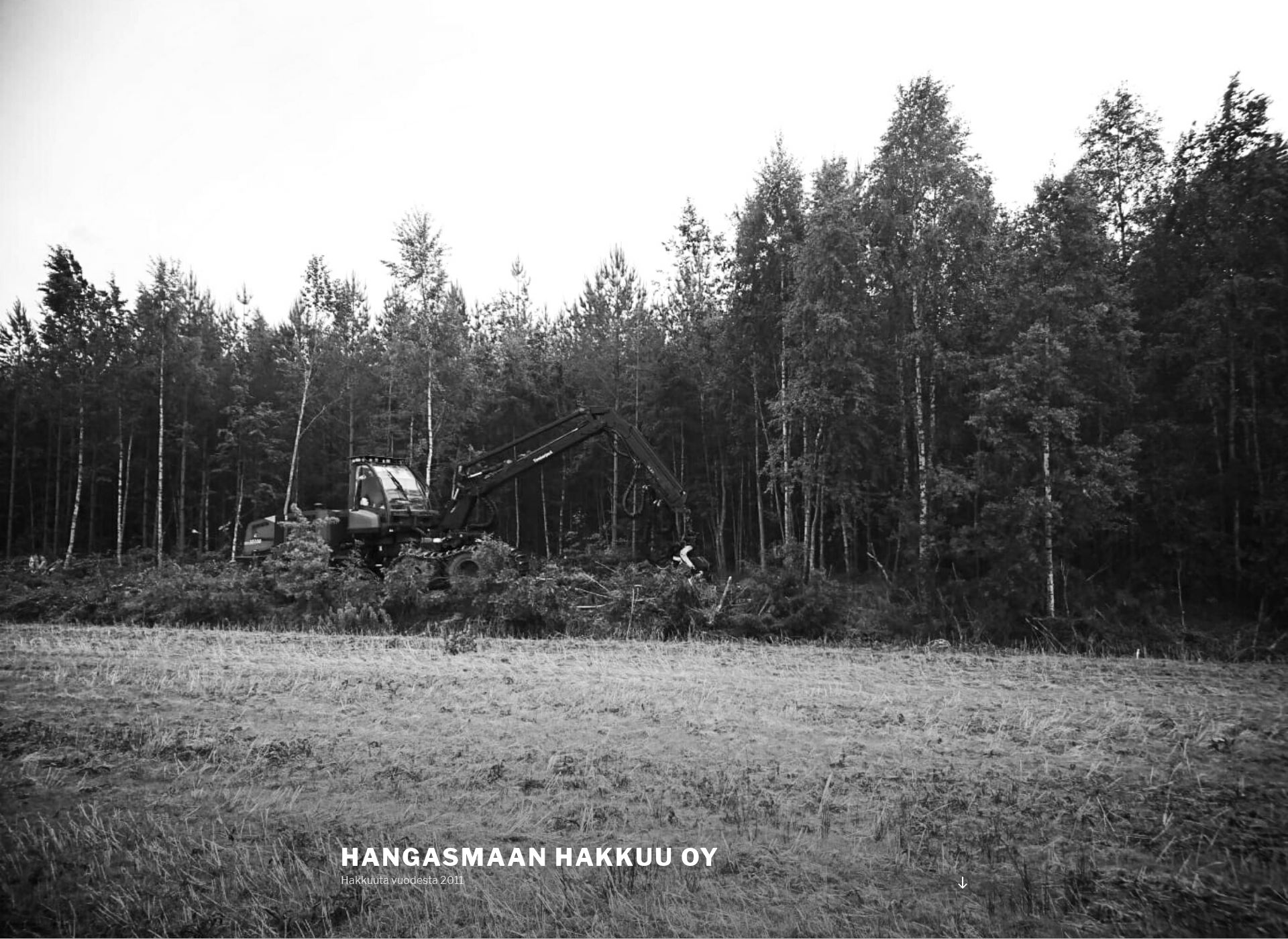 Screenshot for hangasmaanhakkuu.fi