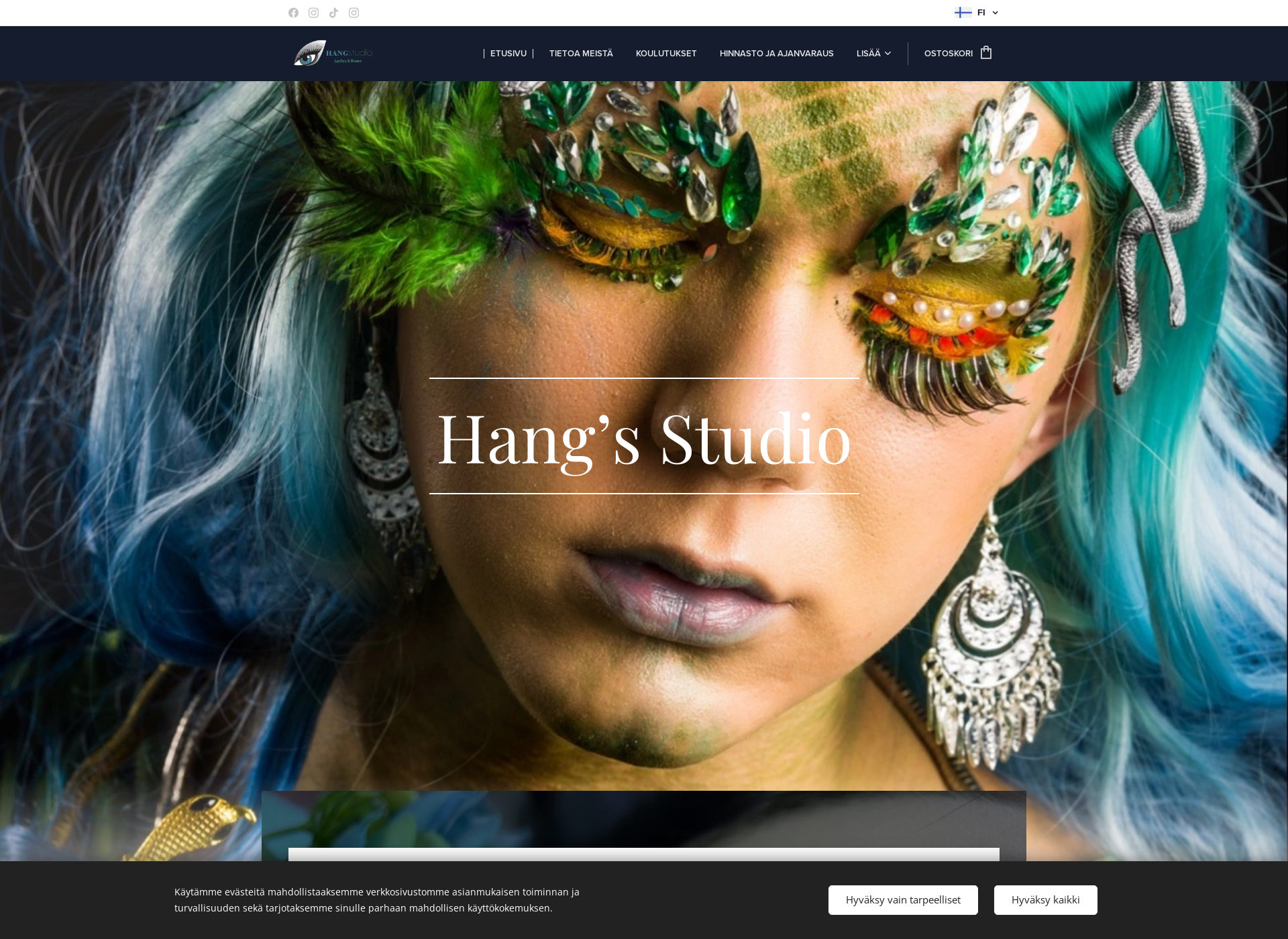 Screenshot for hangstudio.fi