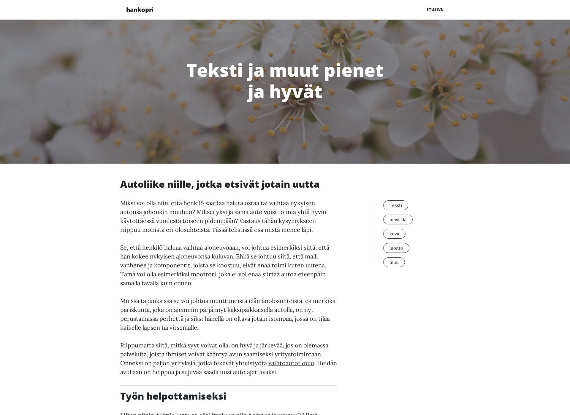 Skärmdump för hankopride.fi