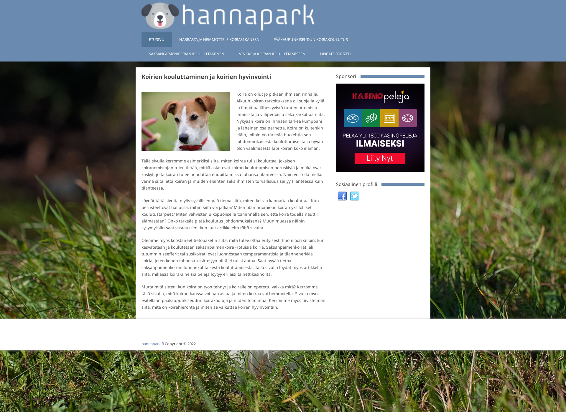 Screenshot for hannapark.fi