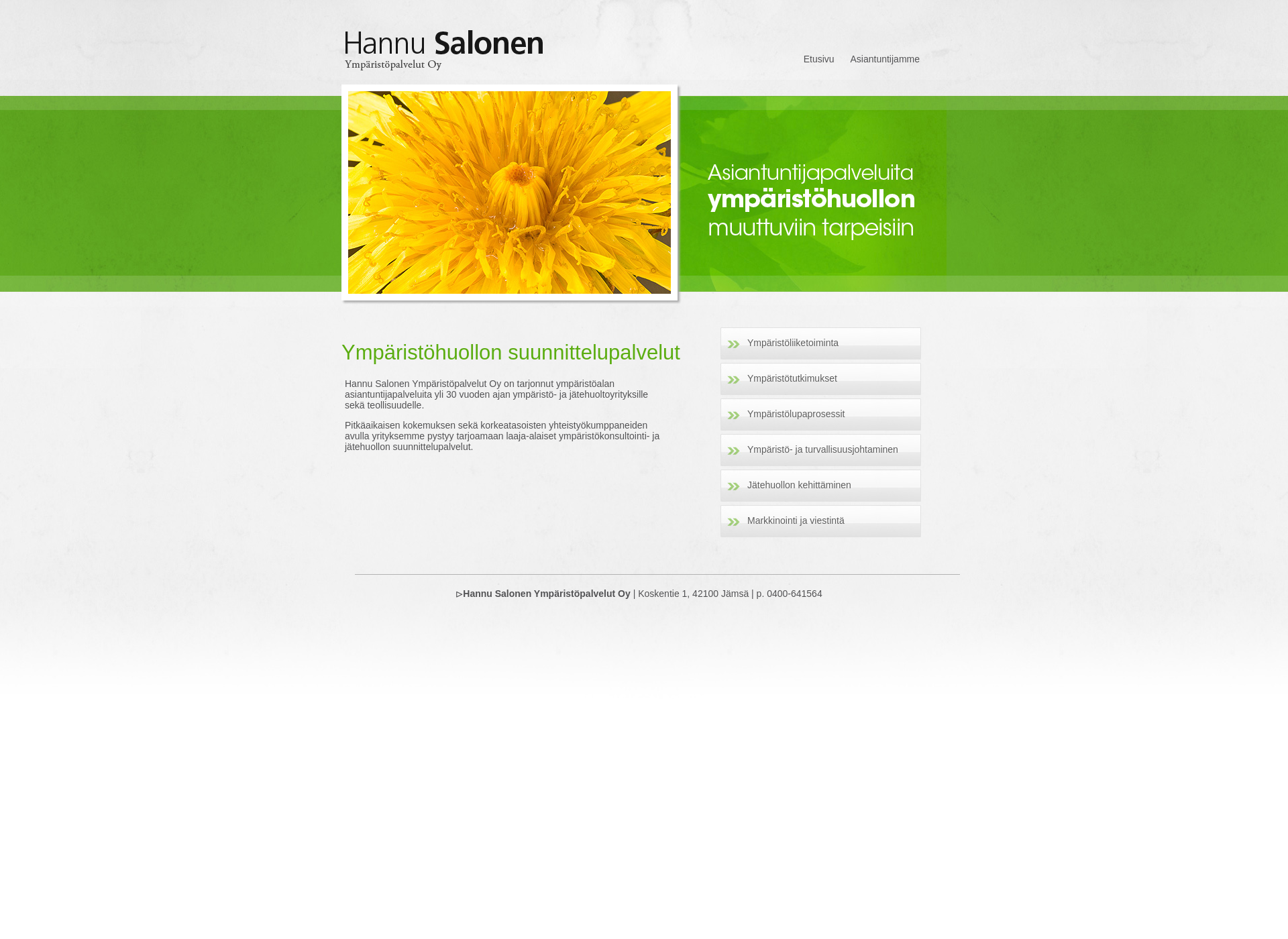 Screenshot for hannusalonen.fi