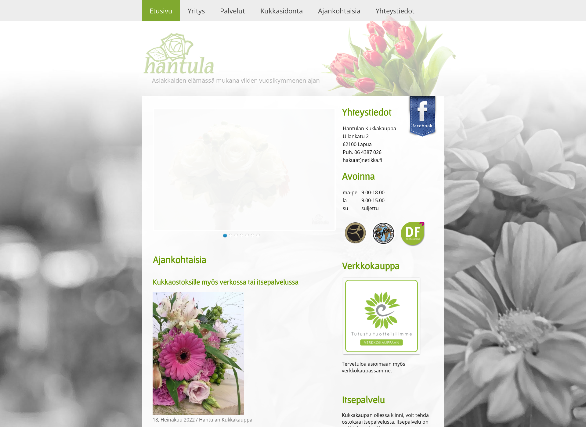 Screenshot for hantulankukka.fi