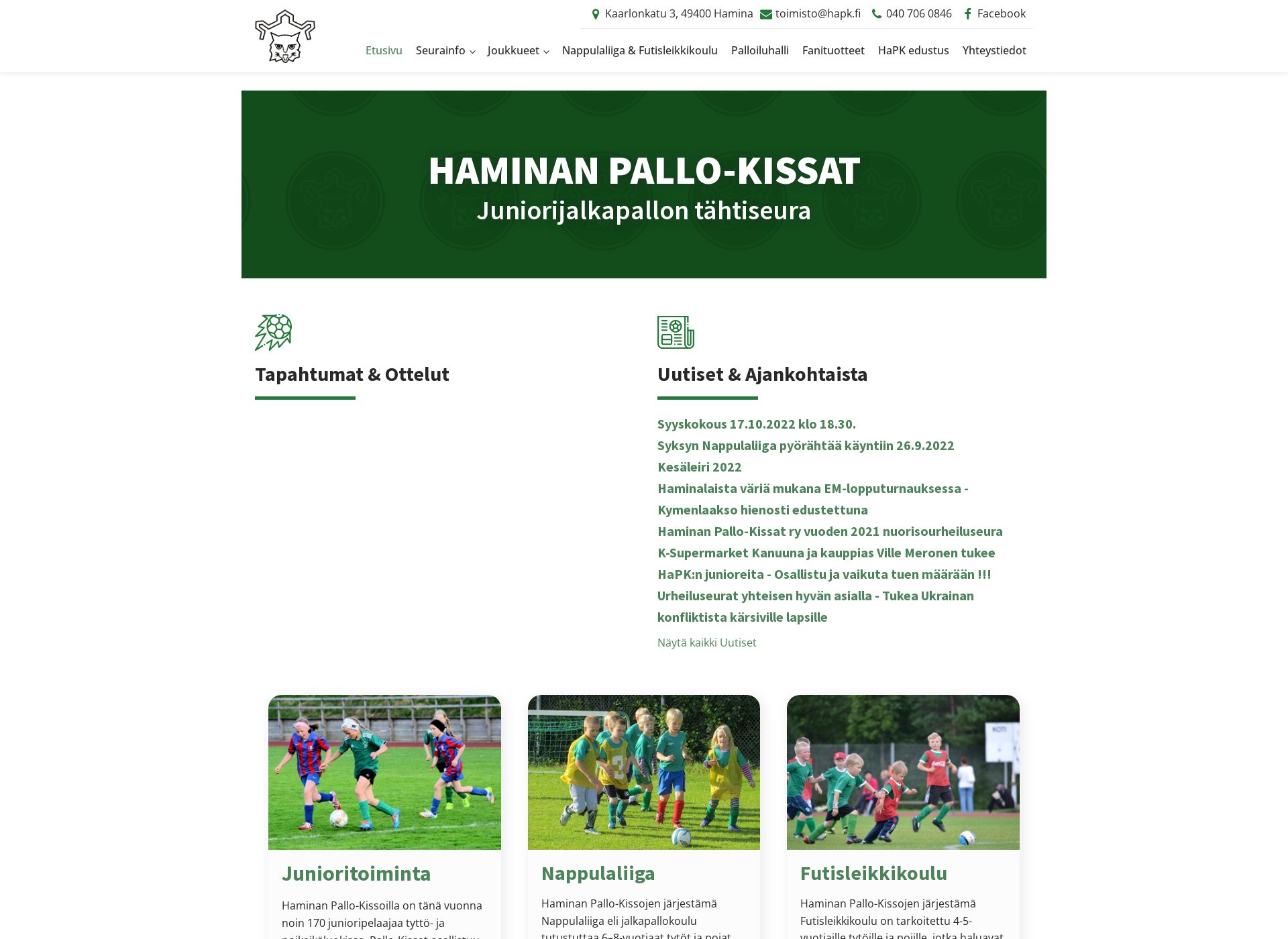 Screenshot for hapk.fi