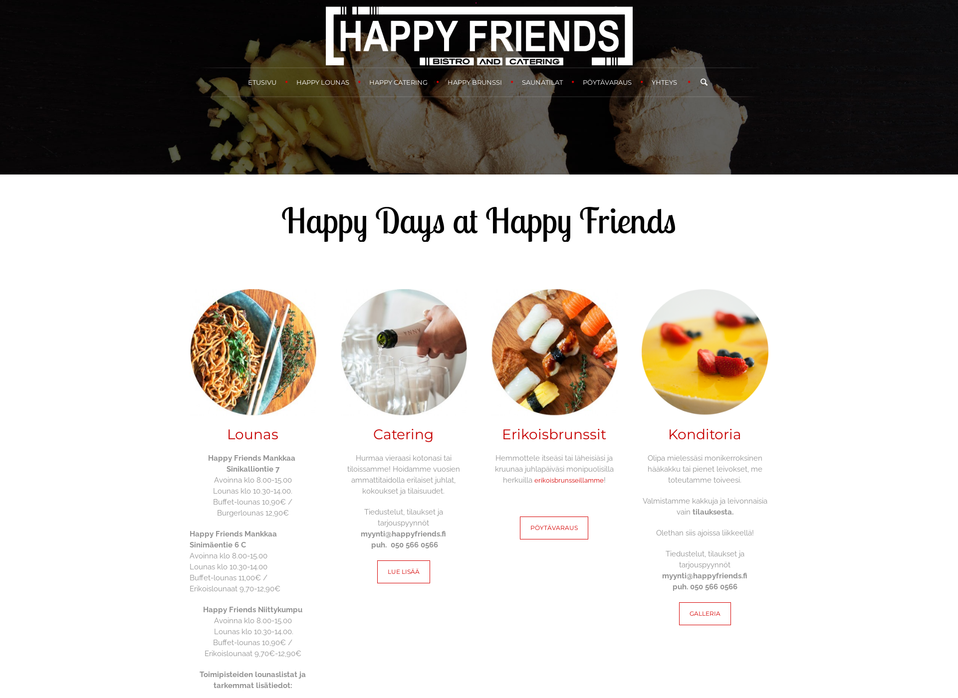 Skärmdump för happyfriends.fi