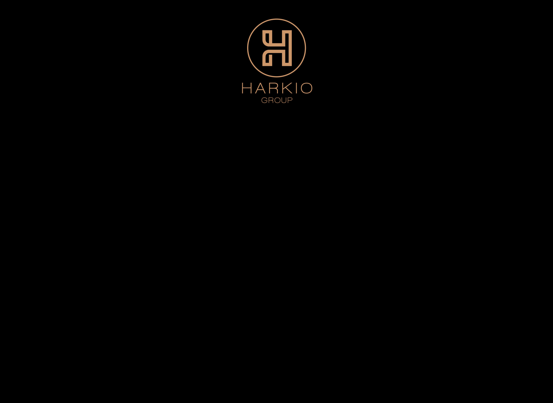 Screenshot for harkiogroup.fi