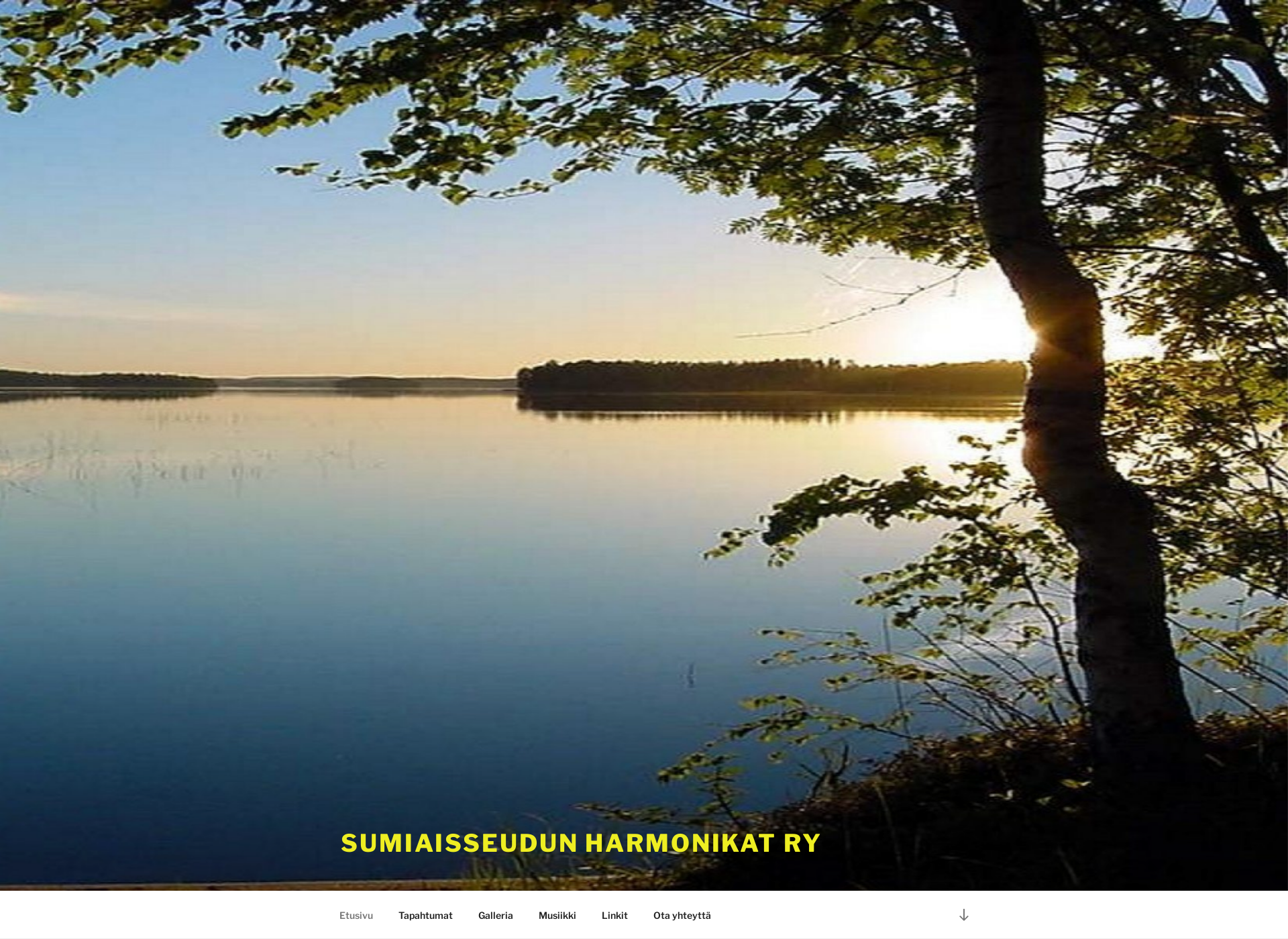 Screenshot for harmonikat.fi
